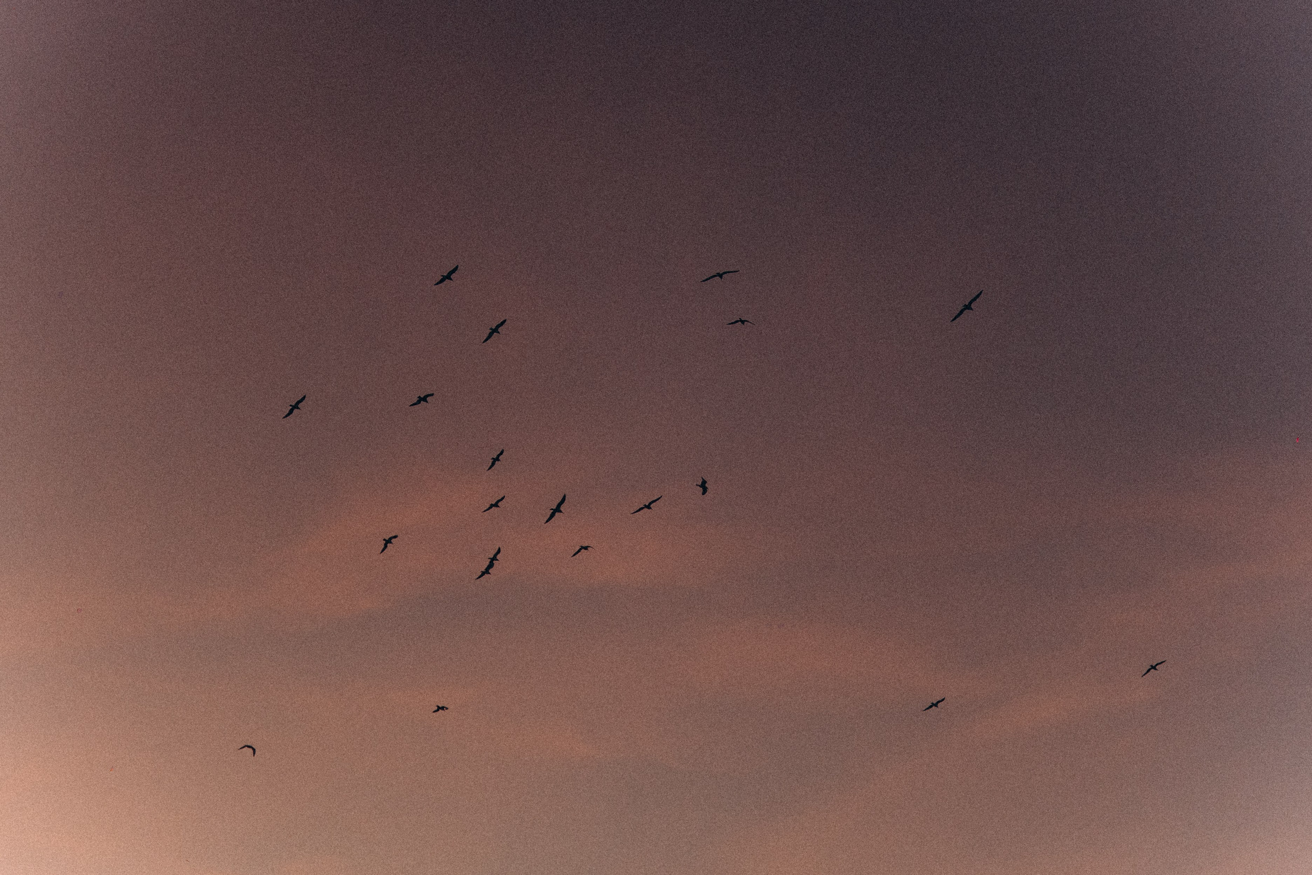Photographer in Paris
