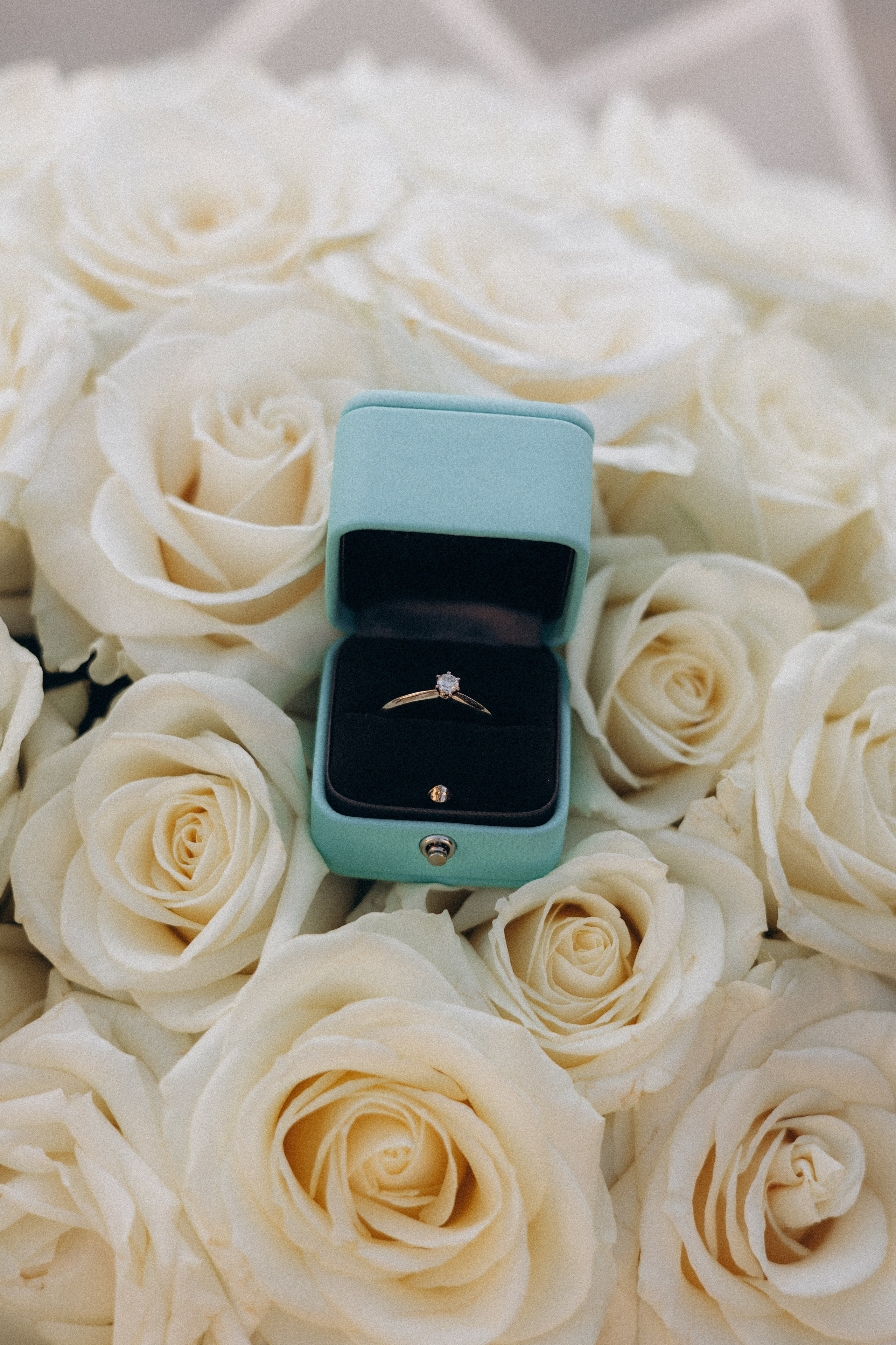 Paris Proposal photography. Photographer in Paris