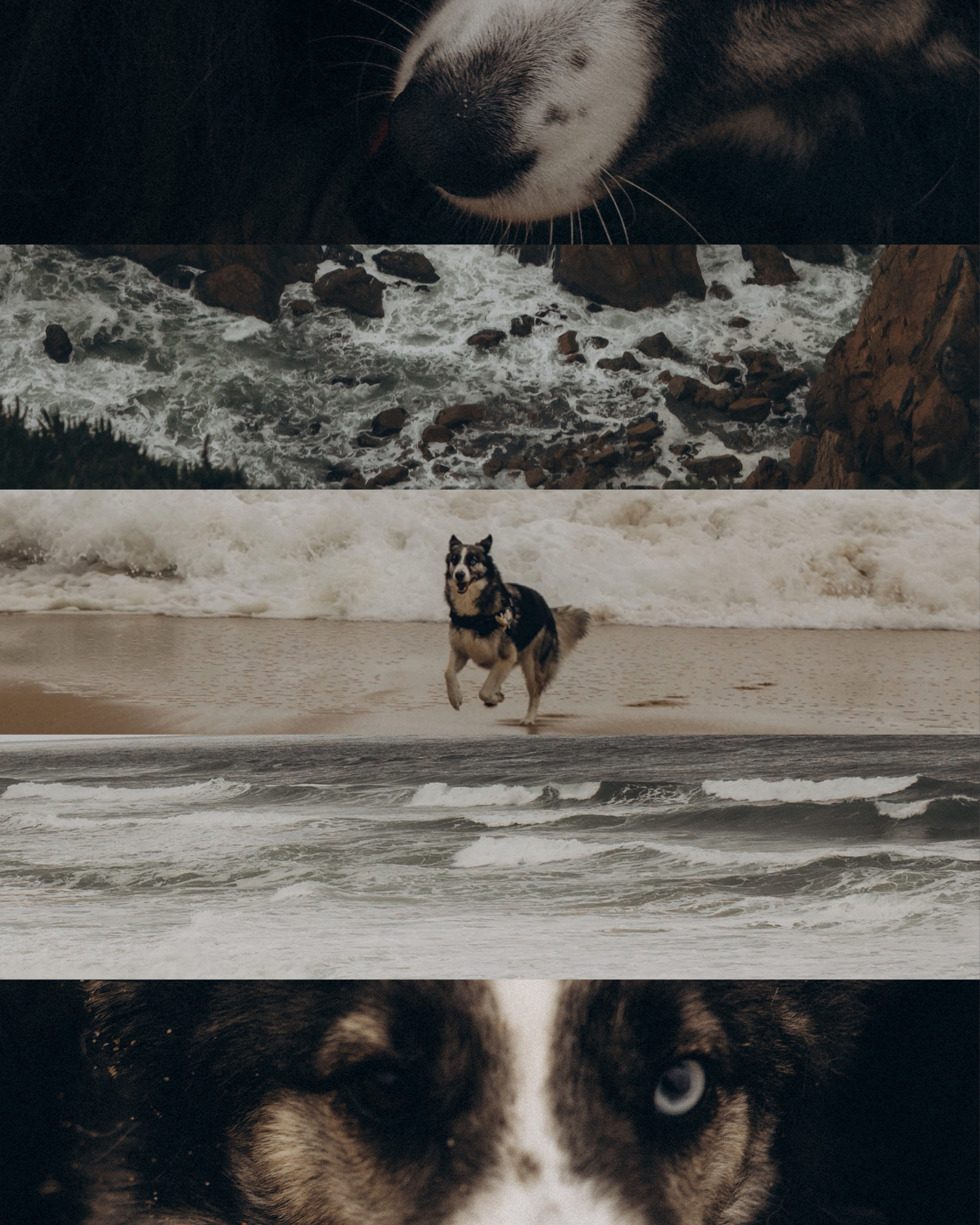 Photographer in Paris