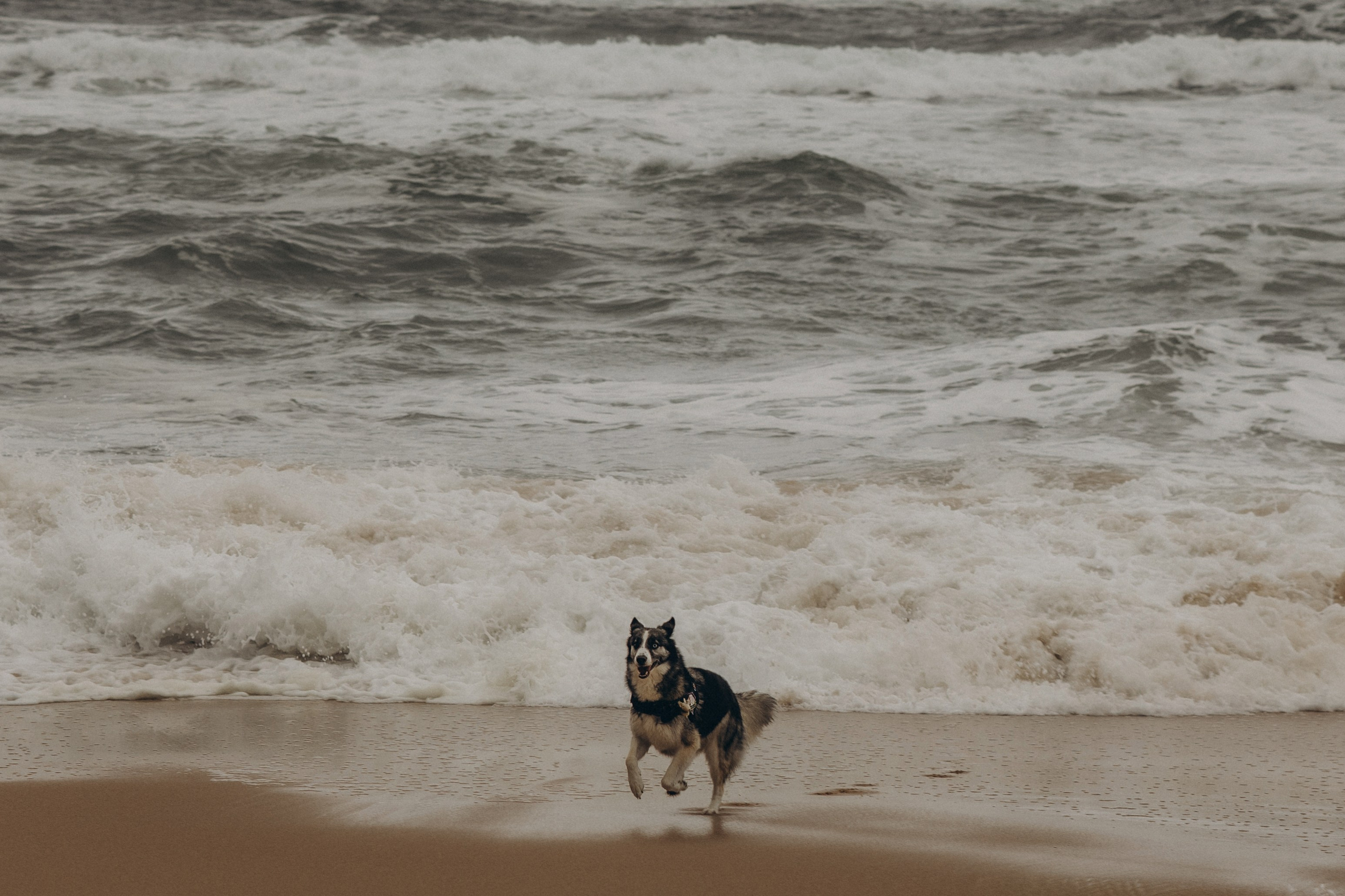 Photographer in Paris