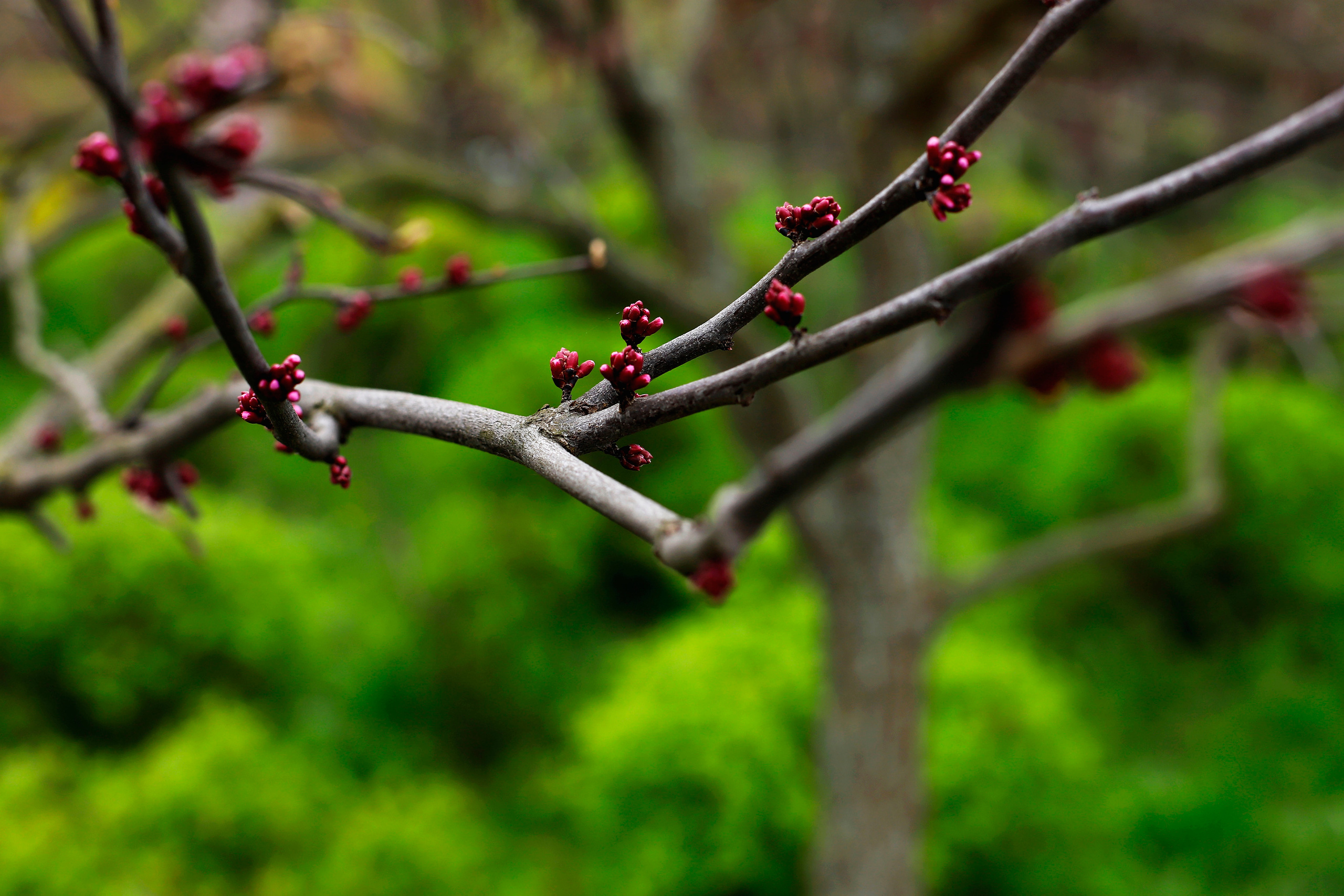 обої,  шпалери для робочого стола, шпалери для телефону, обої для телефону, скачать 