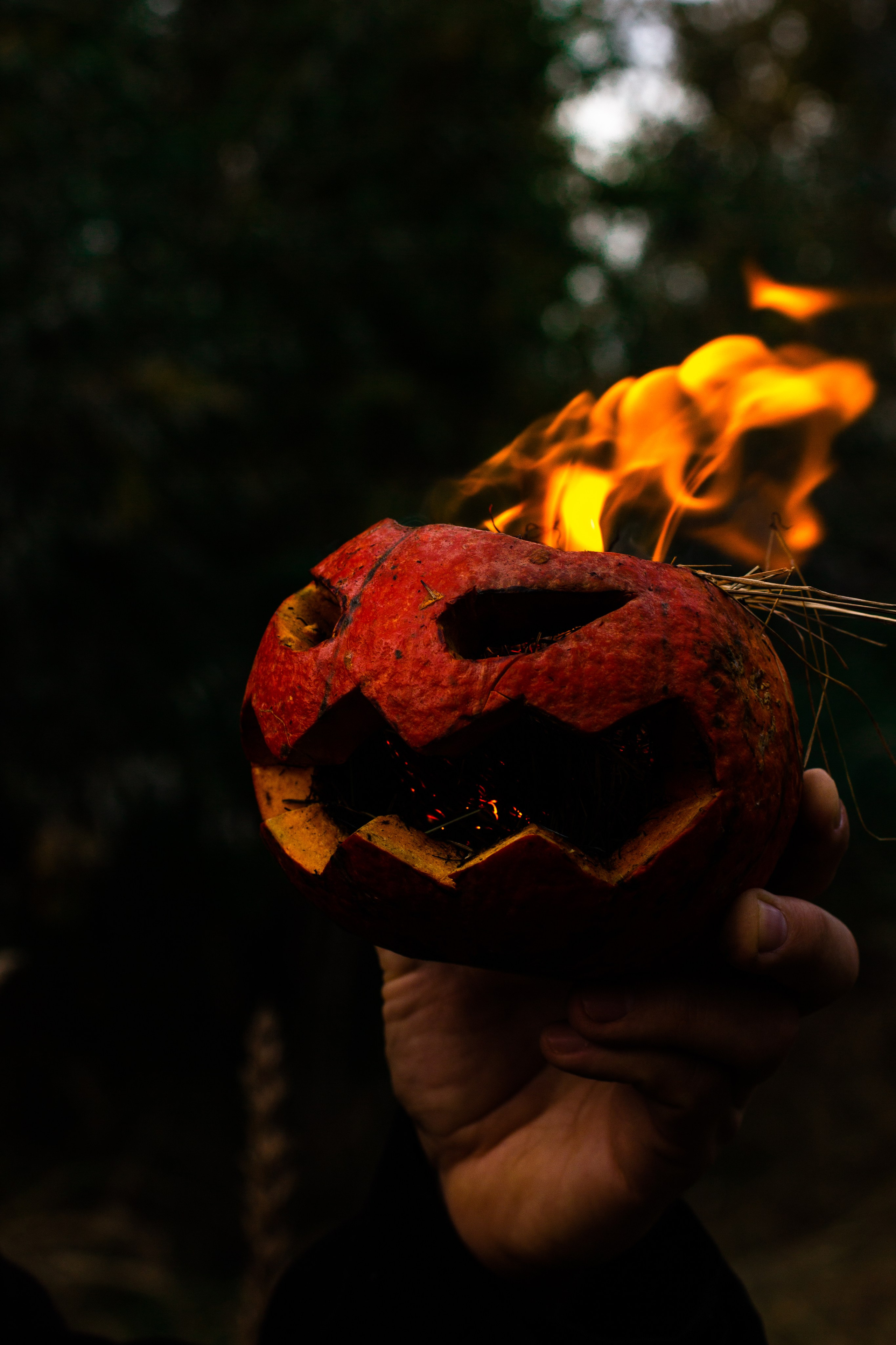 Тематична фотозйомка. Дитячий та сімейний фотограф Олена Логвінова