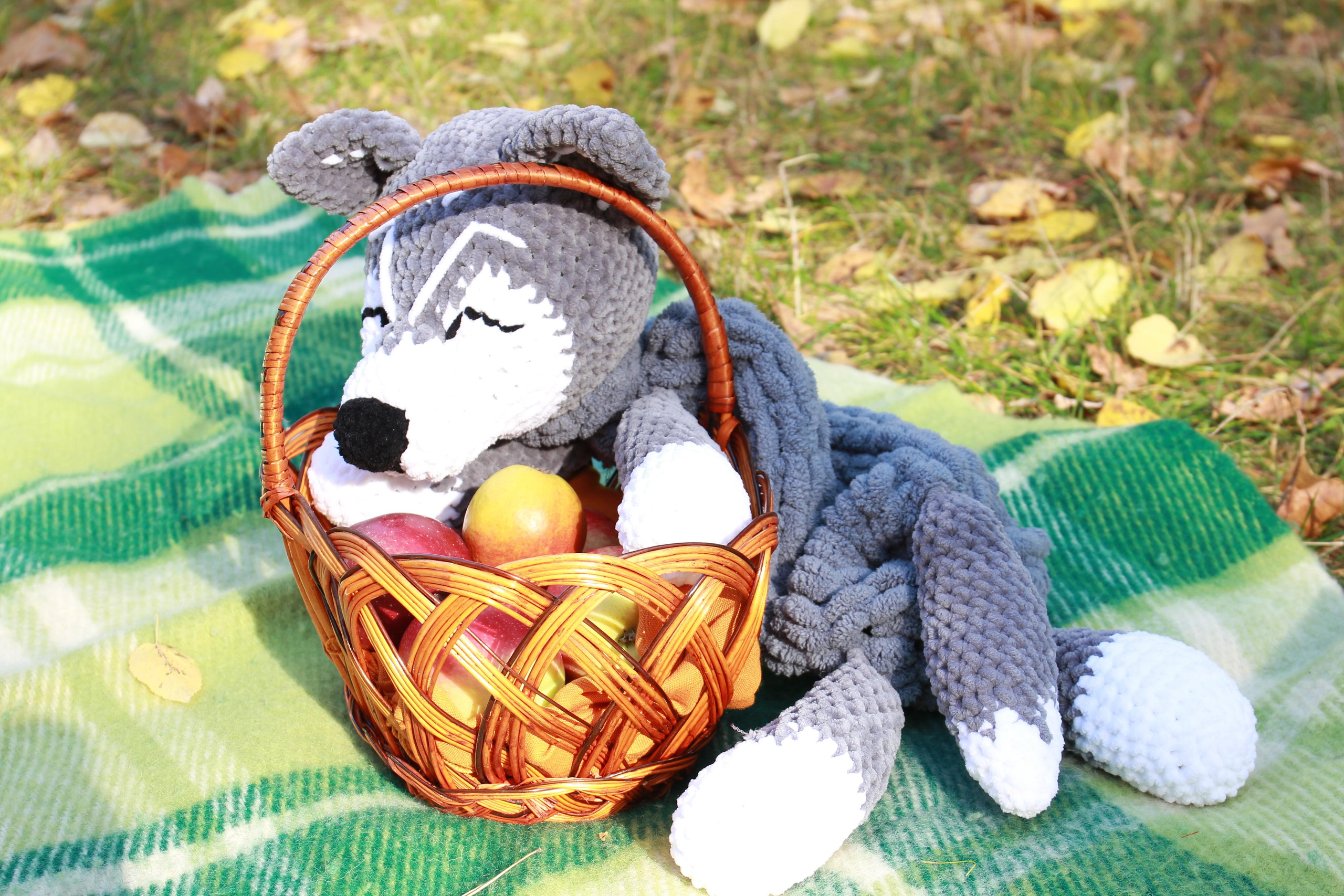 Фотосесія на природі. Дитячий та сімейний фотограф Олена Логвінова