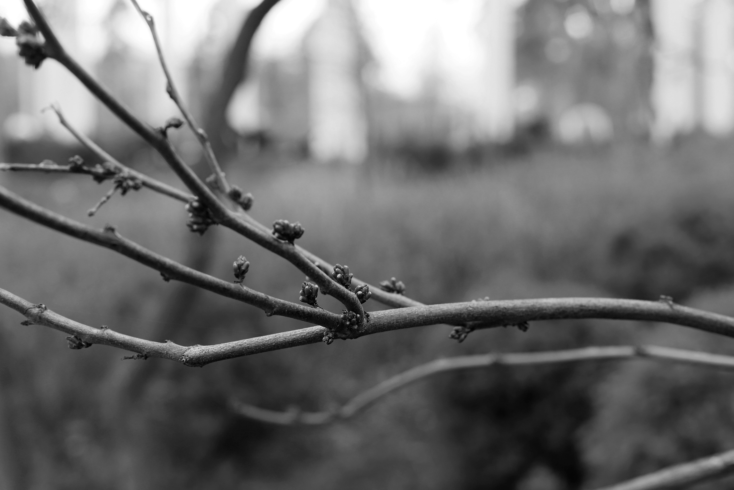 обої,  шпалери для робочого стола, шпалери для телефону, обої для телефону, скачать 