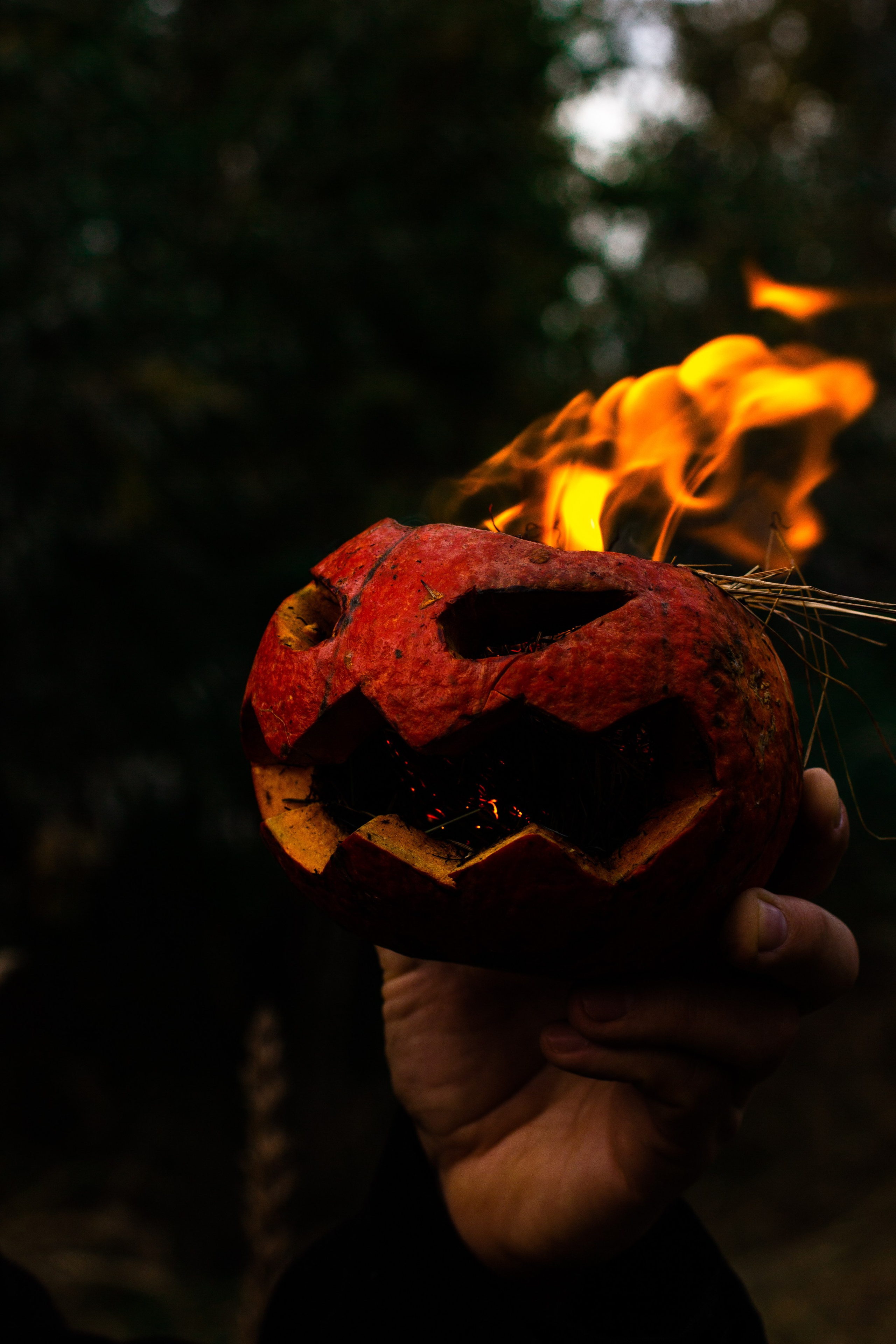 HALLOWEEN. Дитячий та сімейний фотограф Олена Логвінова