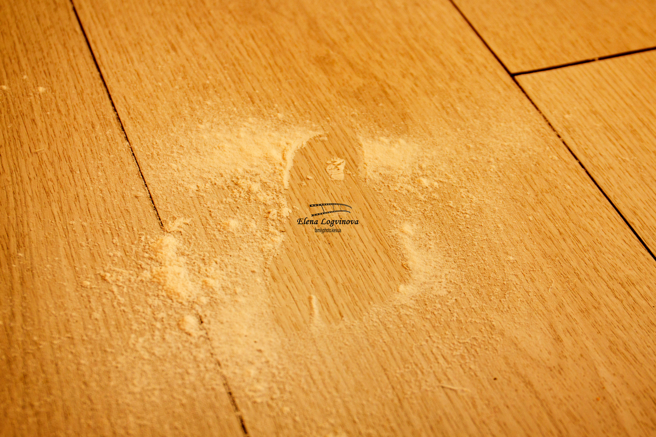 Детская фотосесія в студії. Дитячий та сімейний фотограф Олена Логвінова