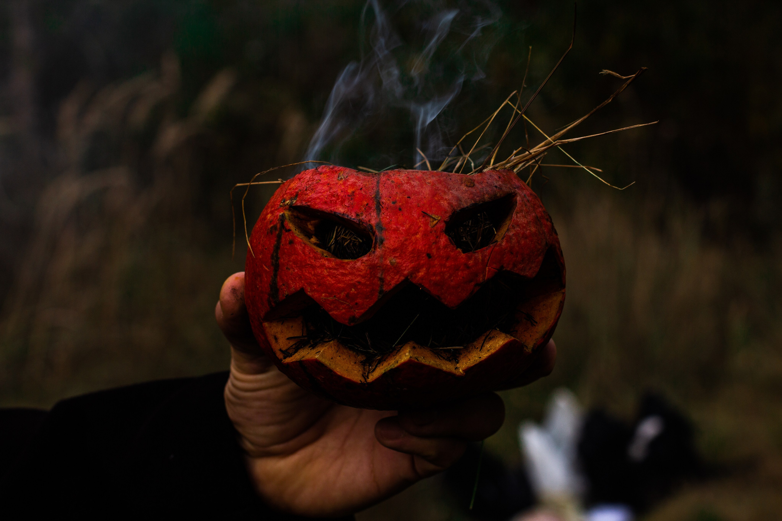 HALLOWEEN. Дитячий та сімейний фотограф Олена Логвінова