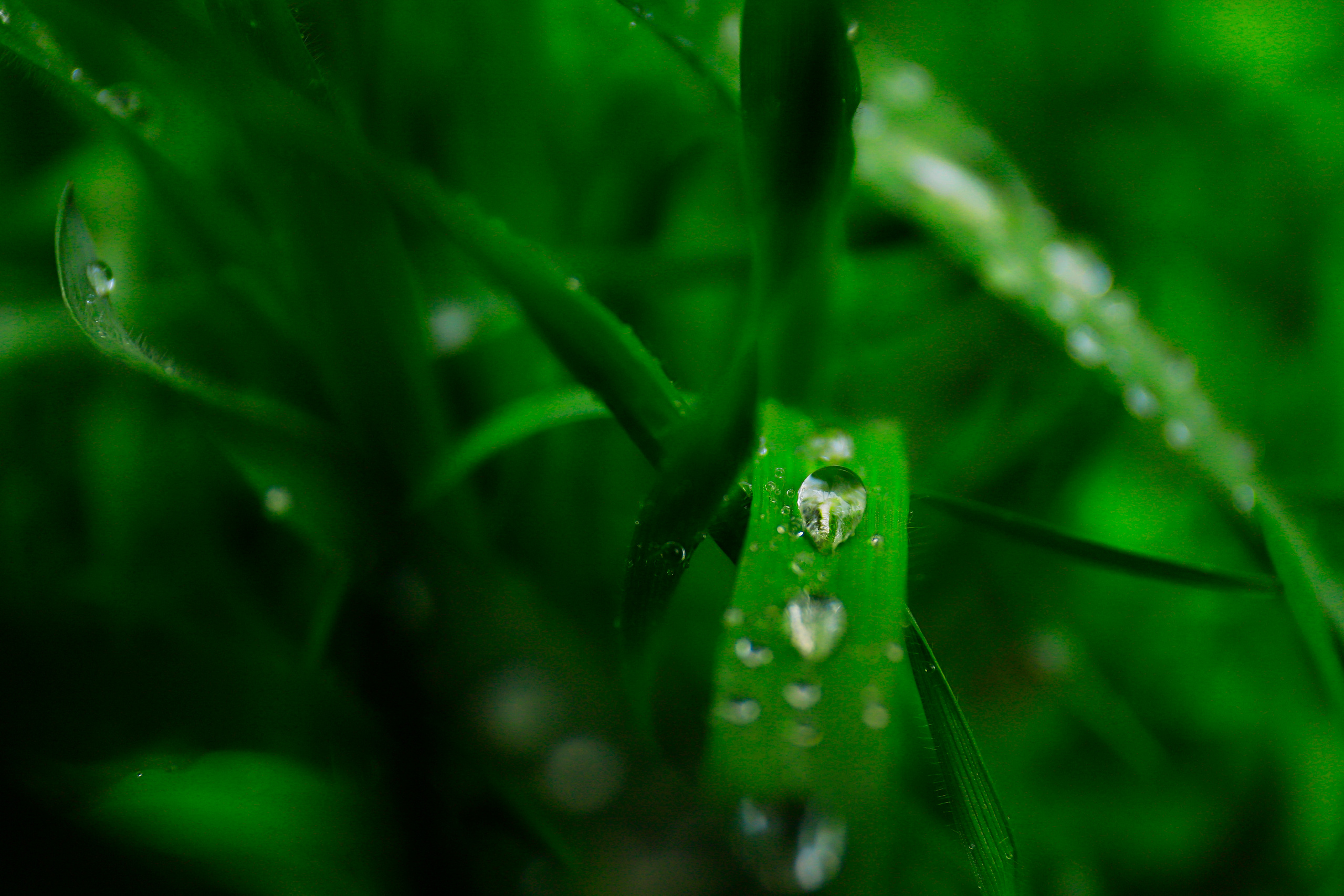 обої,  шпалери для робочого стола, шпалери для телефону, обої для телефону, скачать 