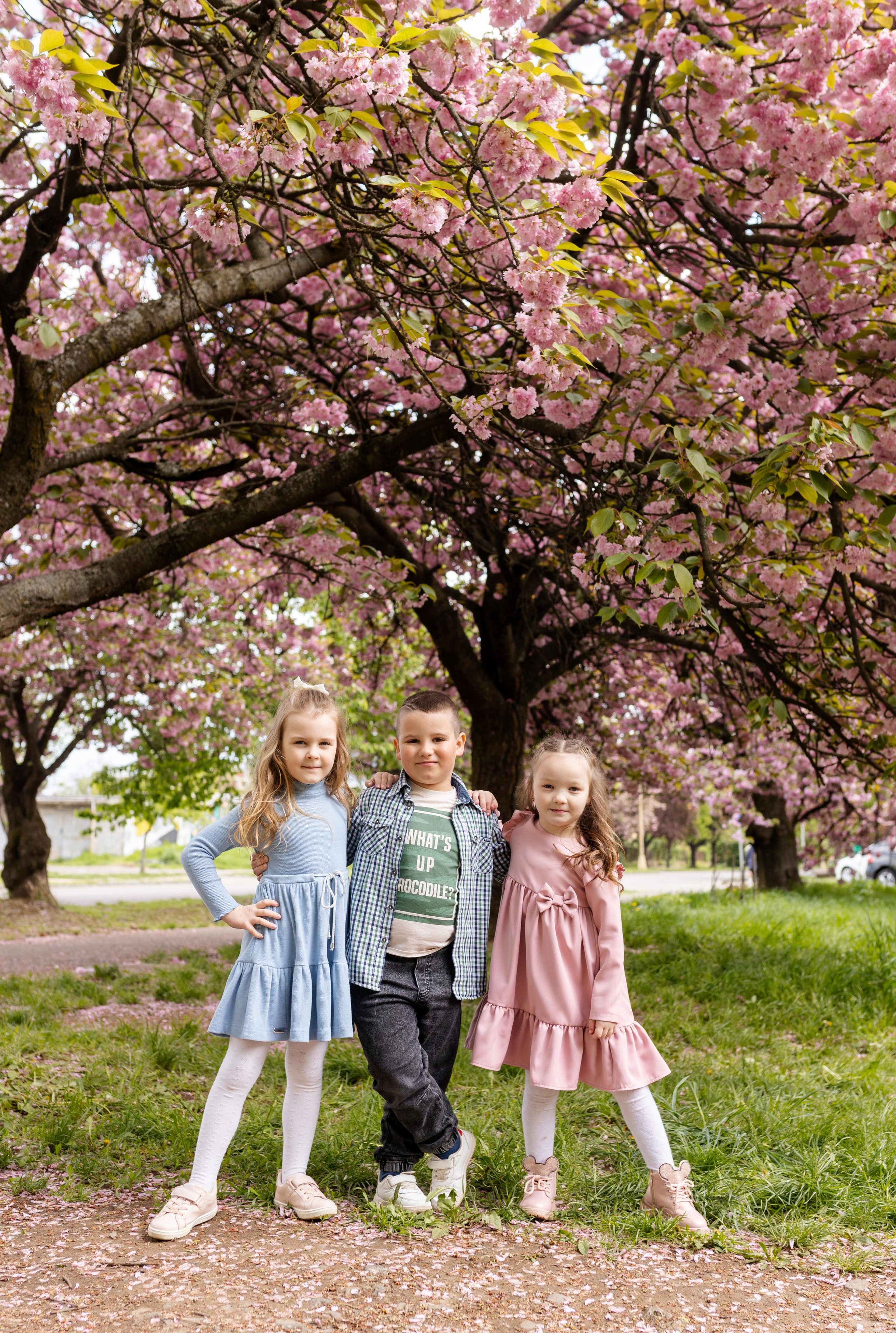 Цвітіння магнолії/сакури. Фотограф в Ужгороді та Закарпатті Лілія Маланяк
