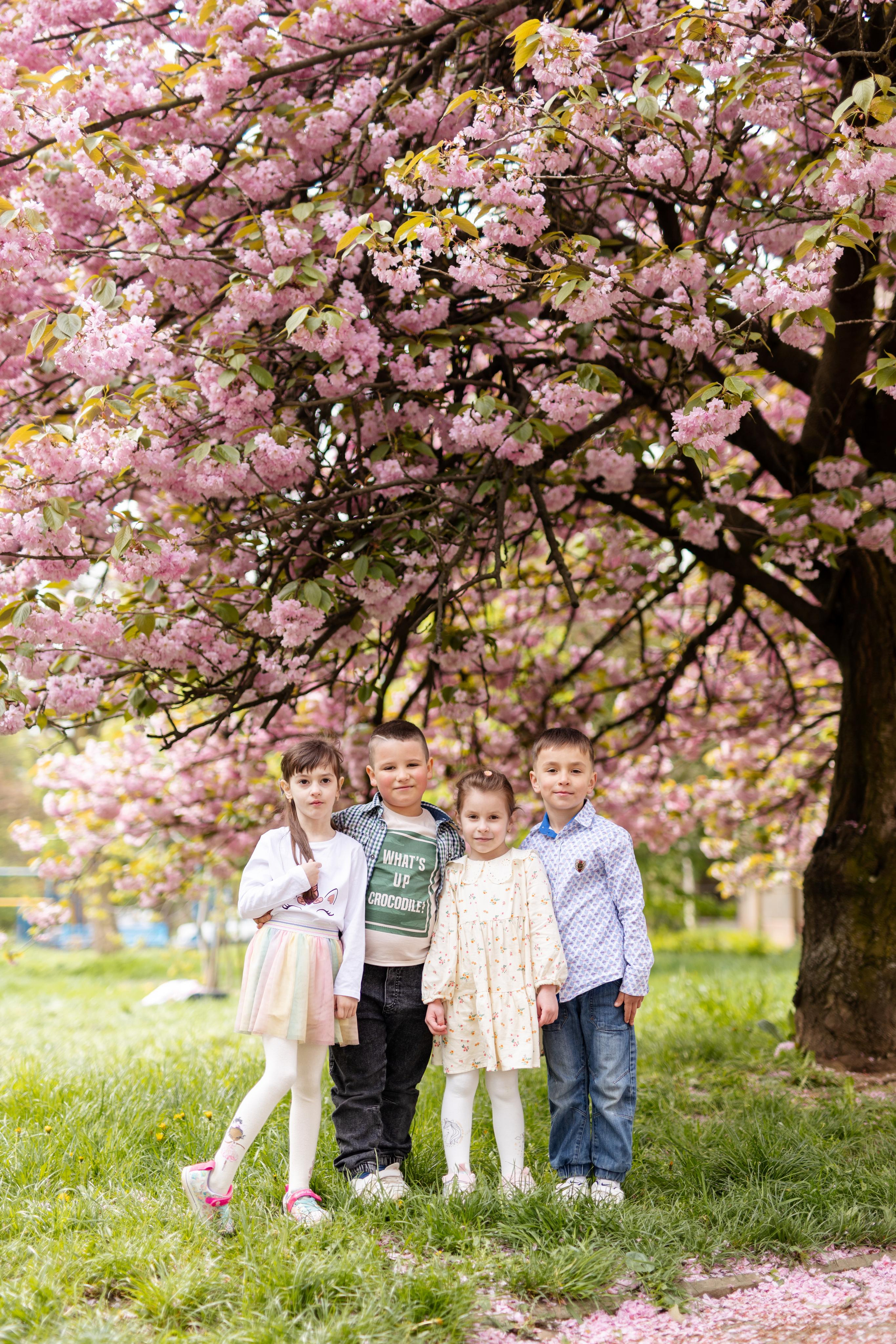 Цвітіння магнолії/сакури. Фотограф в Ужгороді та Закарпатті Лілія Маланяк