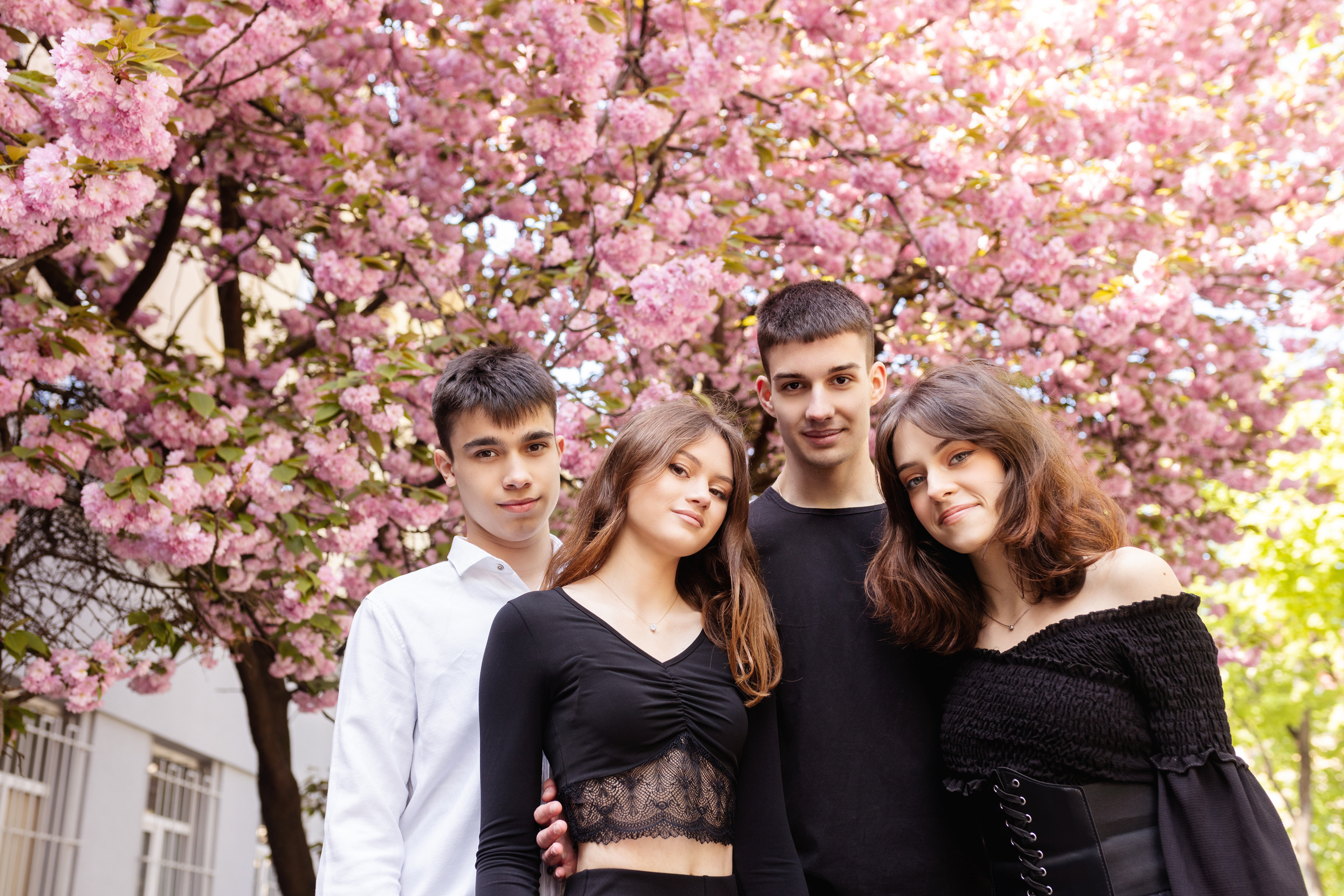 Цвітіння магнолії/сакури. Фотограф в Ужгороді та Закарпатті Лілія Маланяк