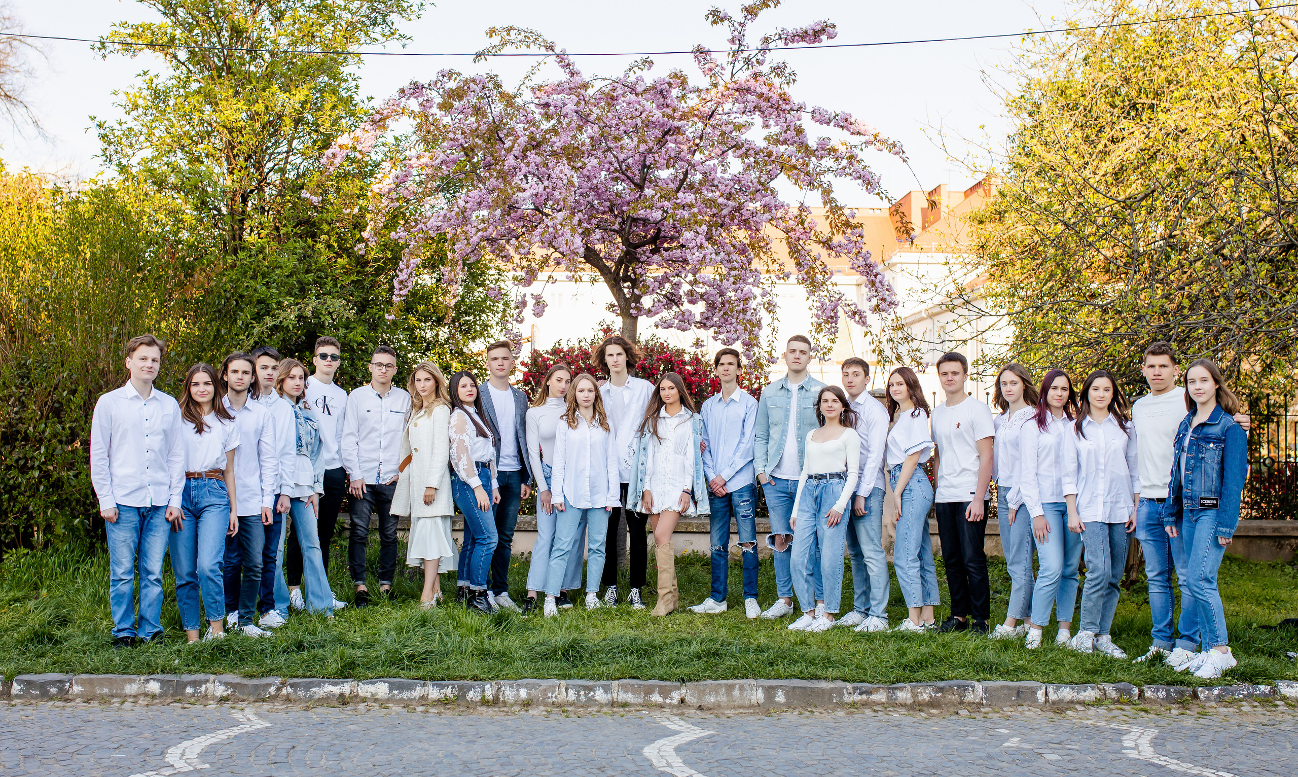 Цвітіння магнолії/сакури. Фотограф в Ужгороді та Закарпатті Лілія Маланяк