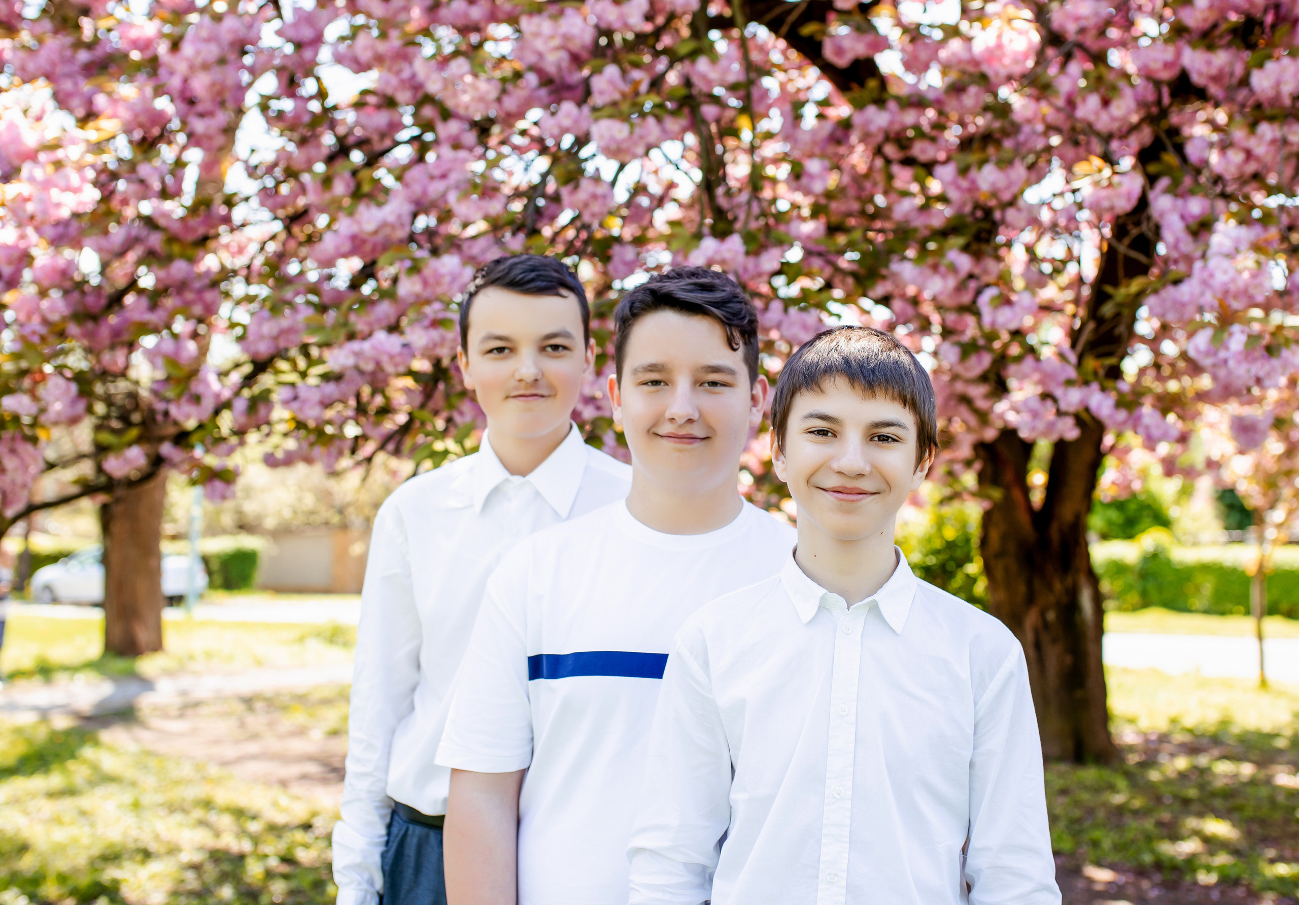 Цвітіння магнолії/сакури. Фотограф в Ужгороді та Закарпатті Лілія Маланяк