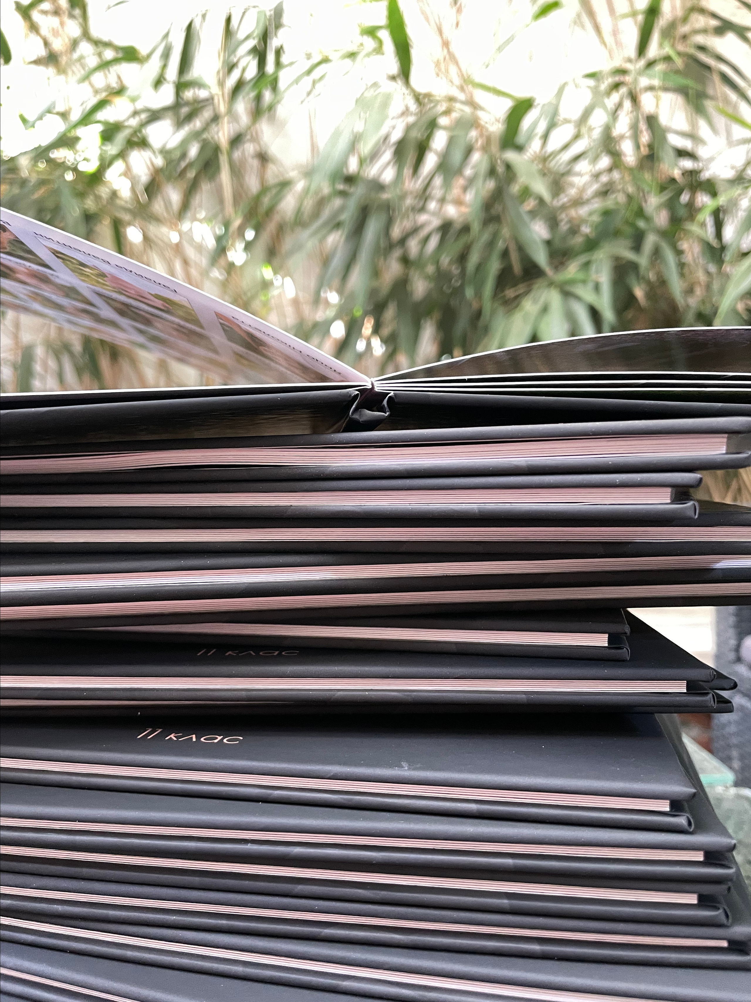 9-11ті класи. Фотограф в Ужгороді та Закарпатті Лілія Маланяк