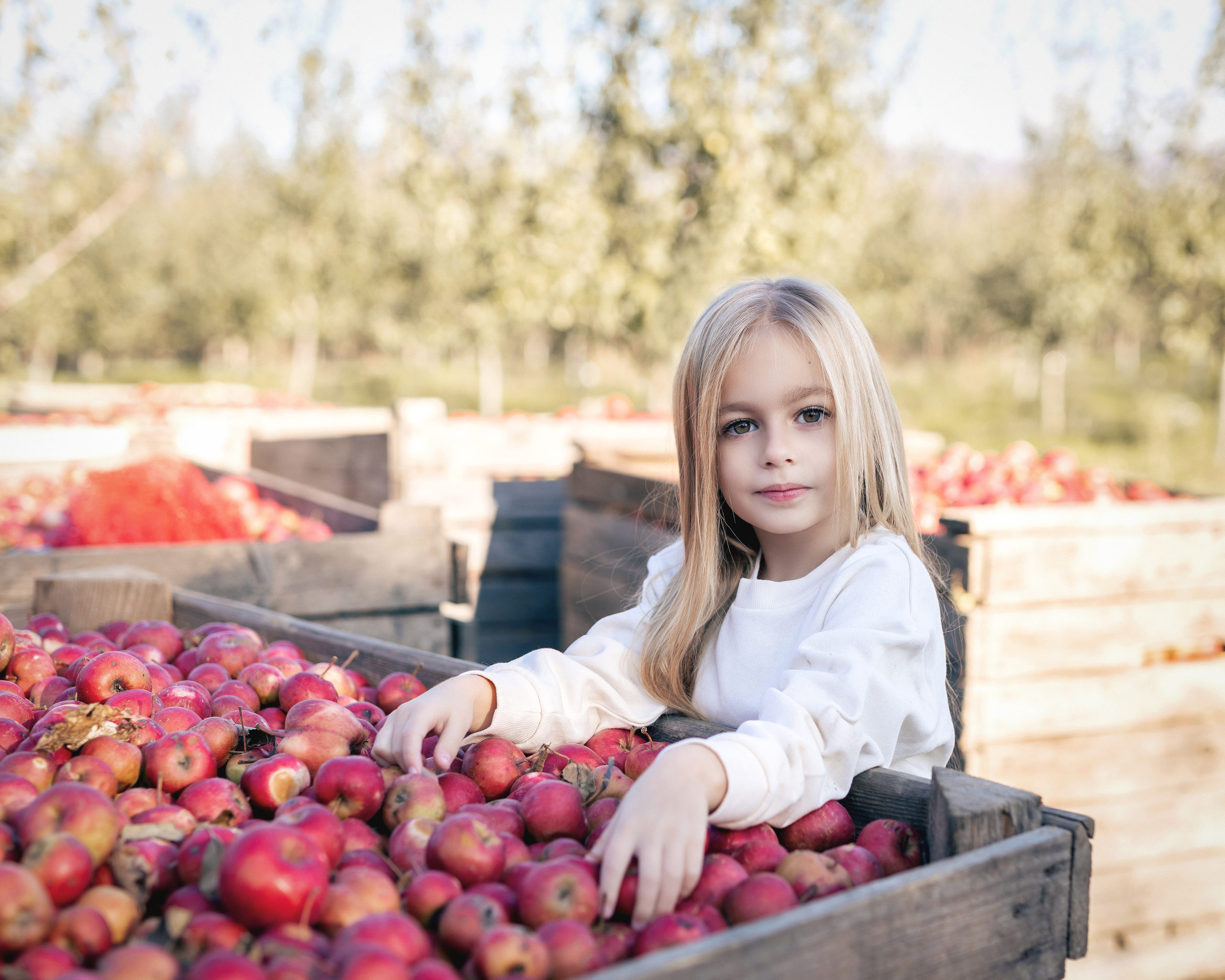 Діти та сімейні. Фотограф в Ужгороді та Закарпатті Лілія Маланяк