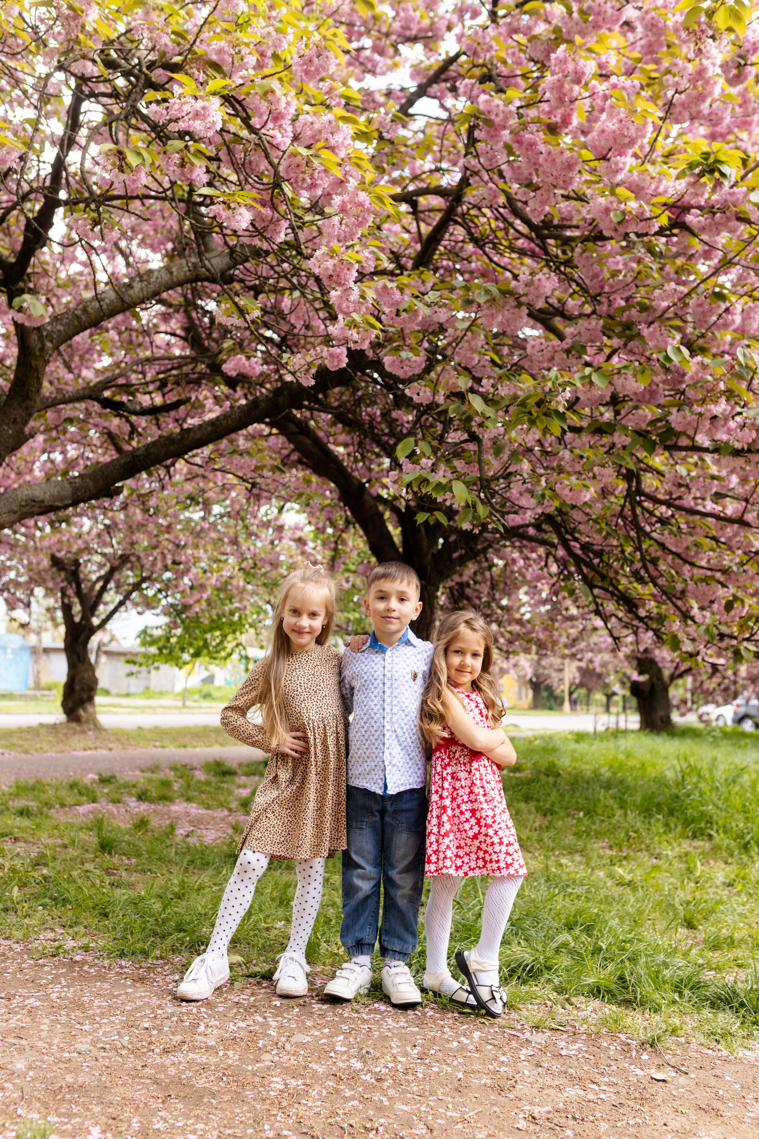 Цвітіння магнолії/сакури. Фотограф в Ужгороді та Закарпатті Лілія Маланяк