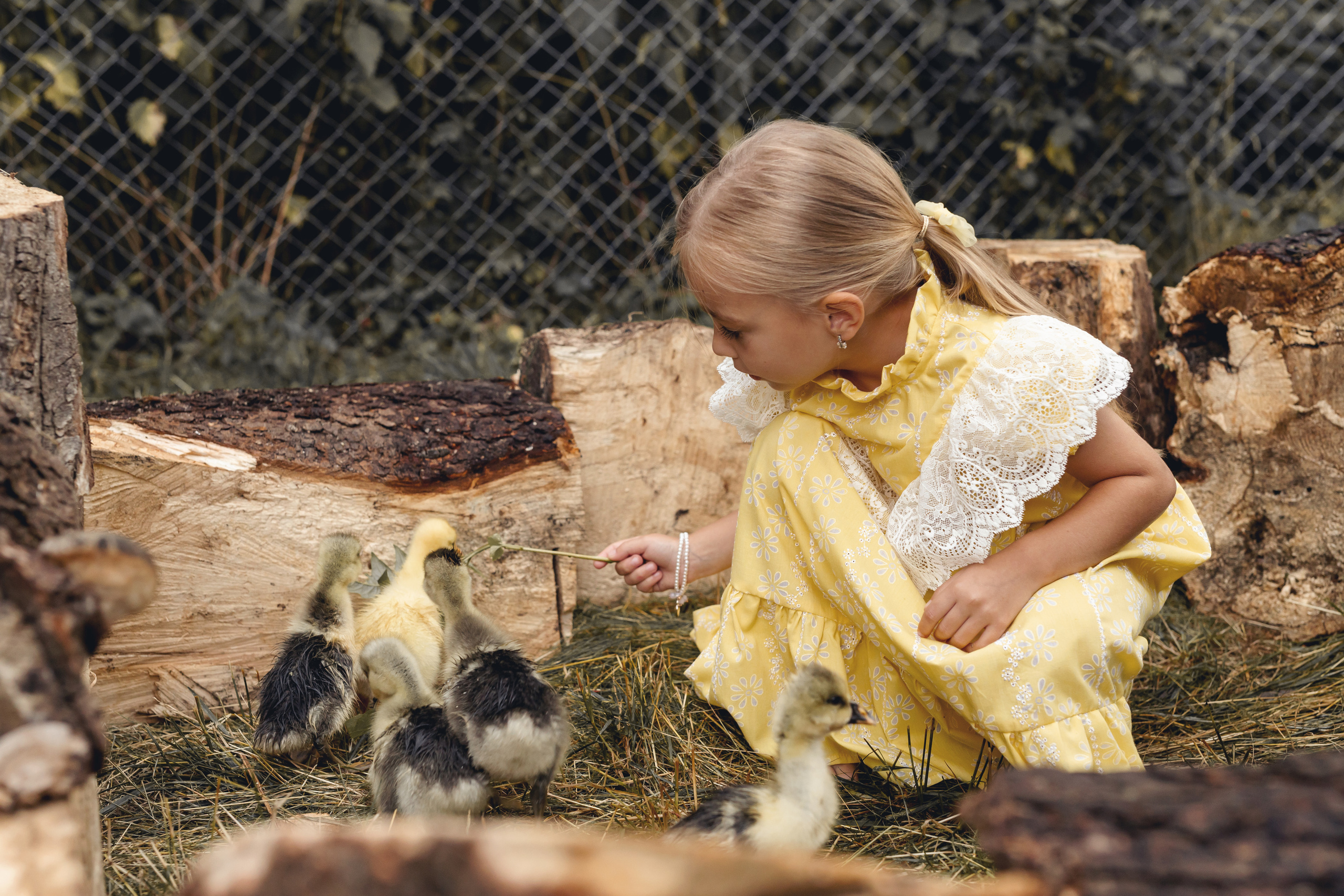 Діти та сімейні. Фотограф в Ужгороді та Закарпатті Лілія Маланяк