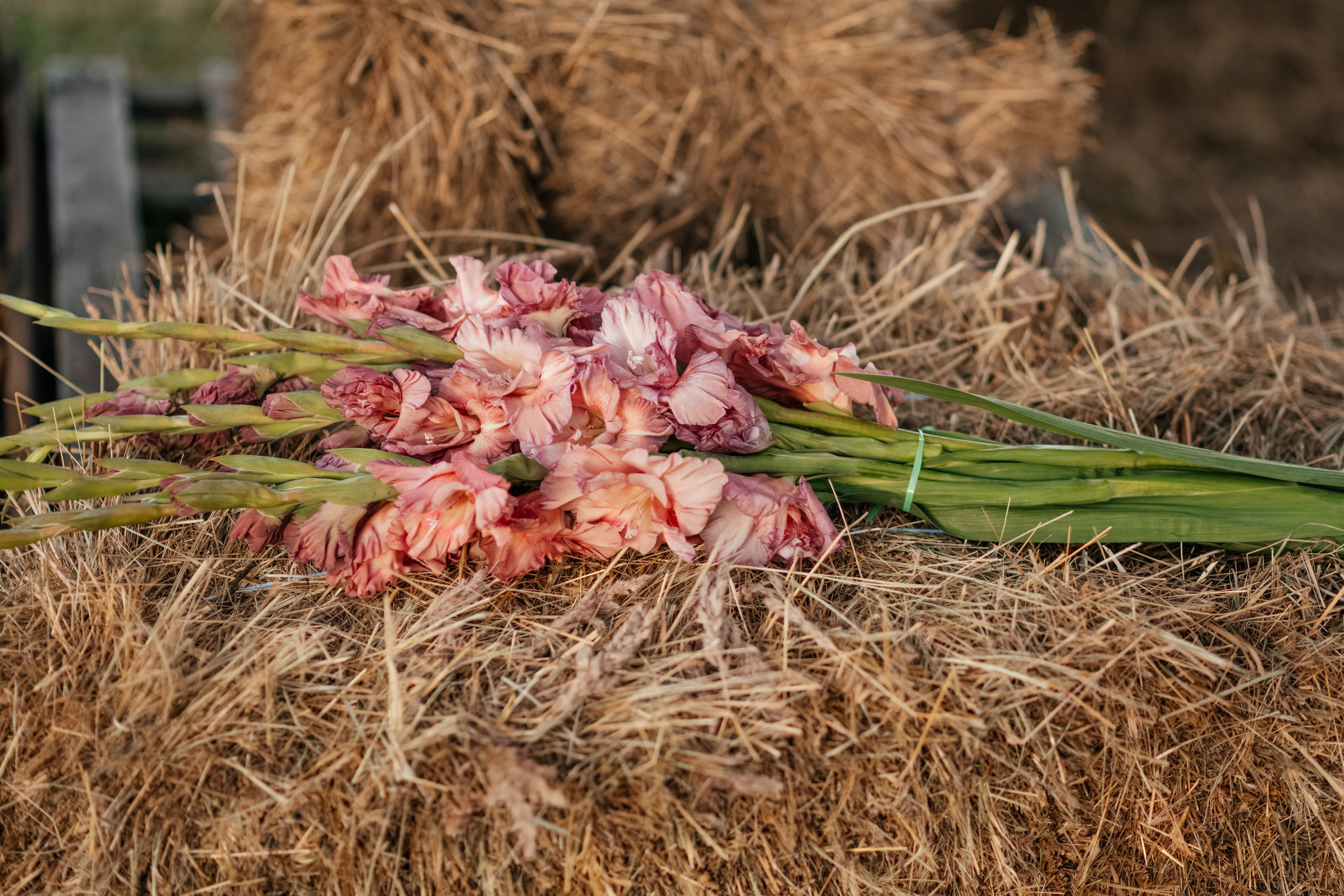 Фотосесія, що торкається серця. Дитячий та сімейний фотограф м.Бровари