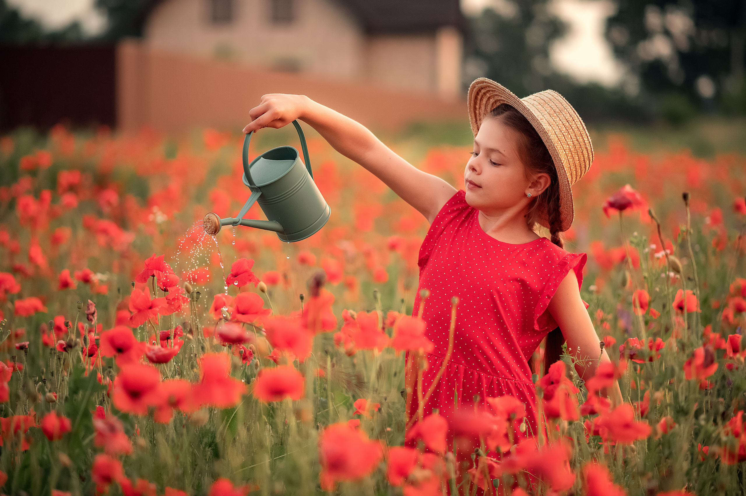 Маки. Дитячий та сімейний фотограф м.Бровари