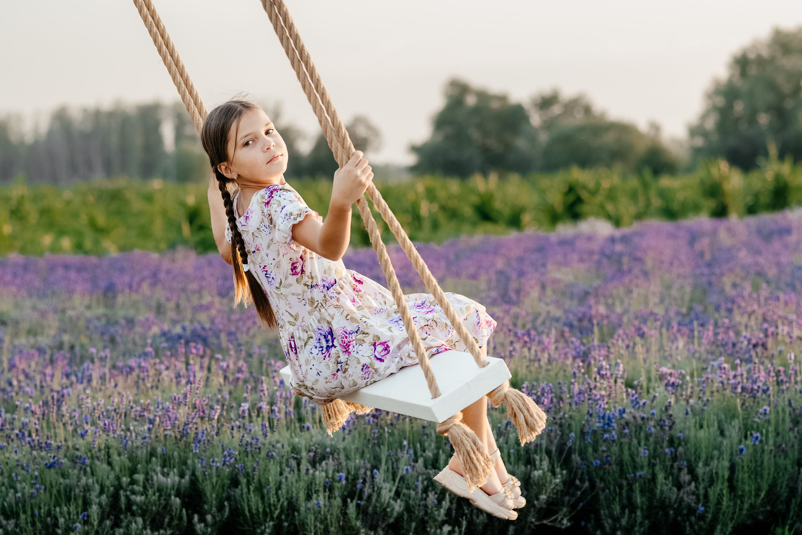 Лаванда 2024. Дитячий та сімейний фотограф м.Бровари