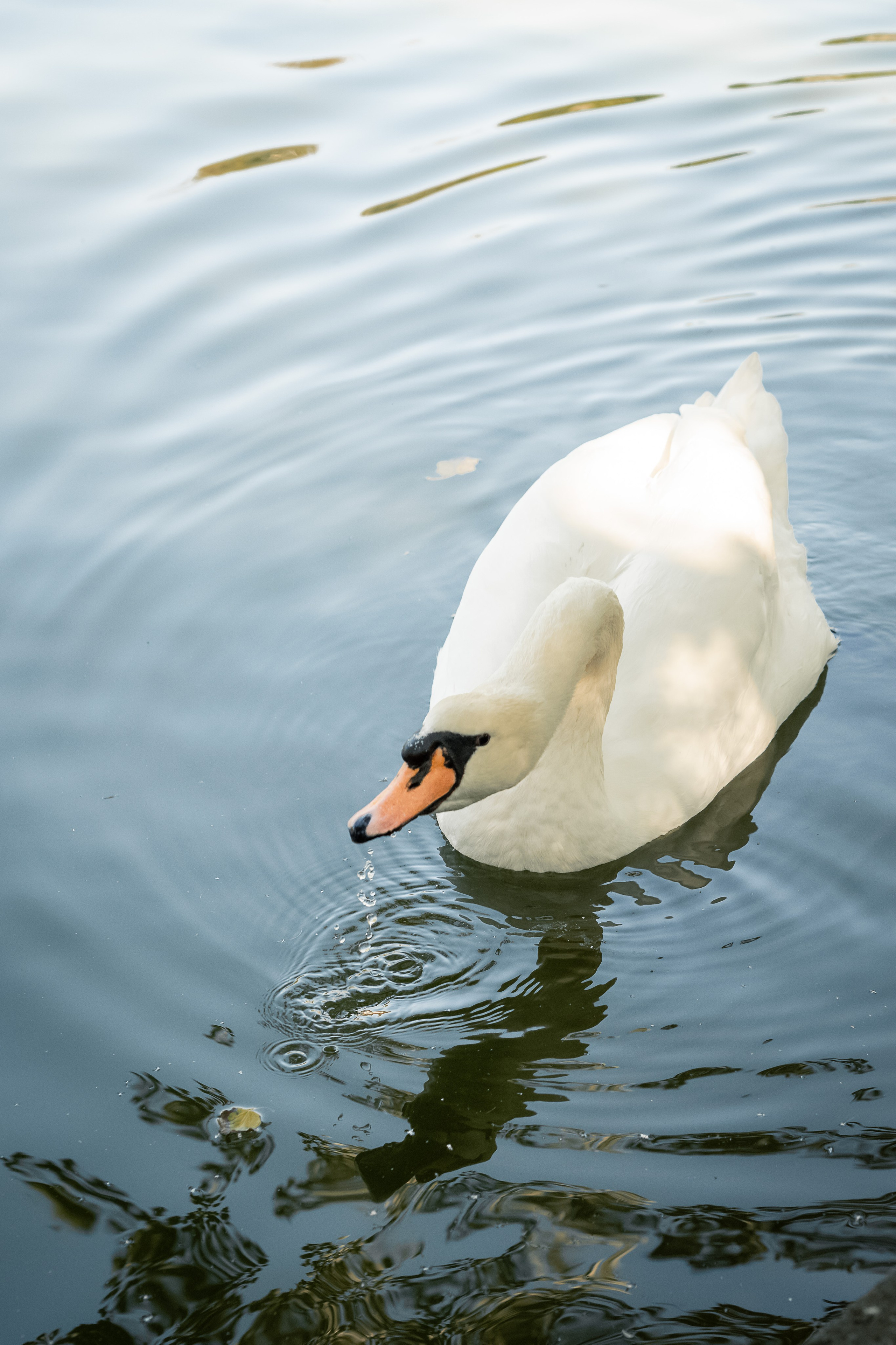 Вересень на ВДНГ. Дитячий та сімейний фотограф м.Бровари