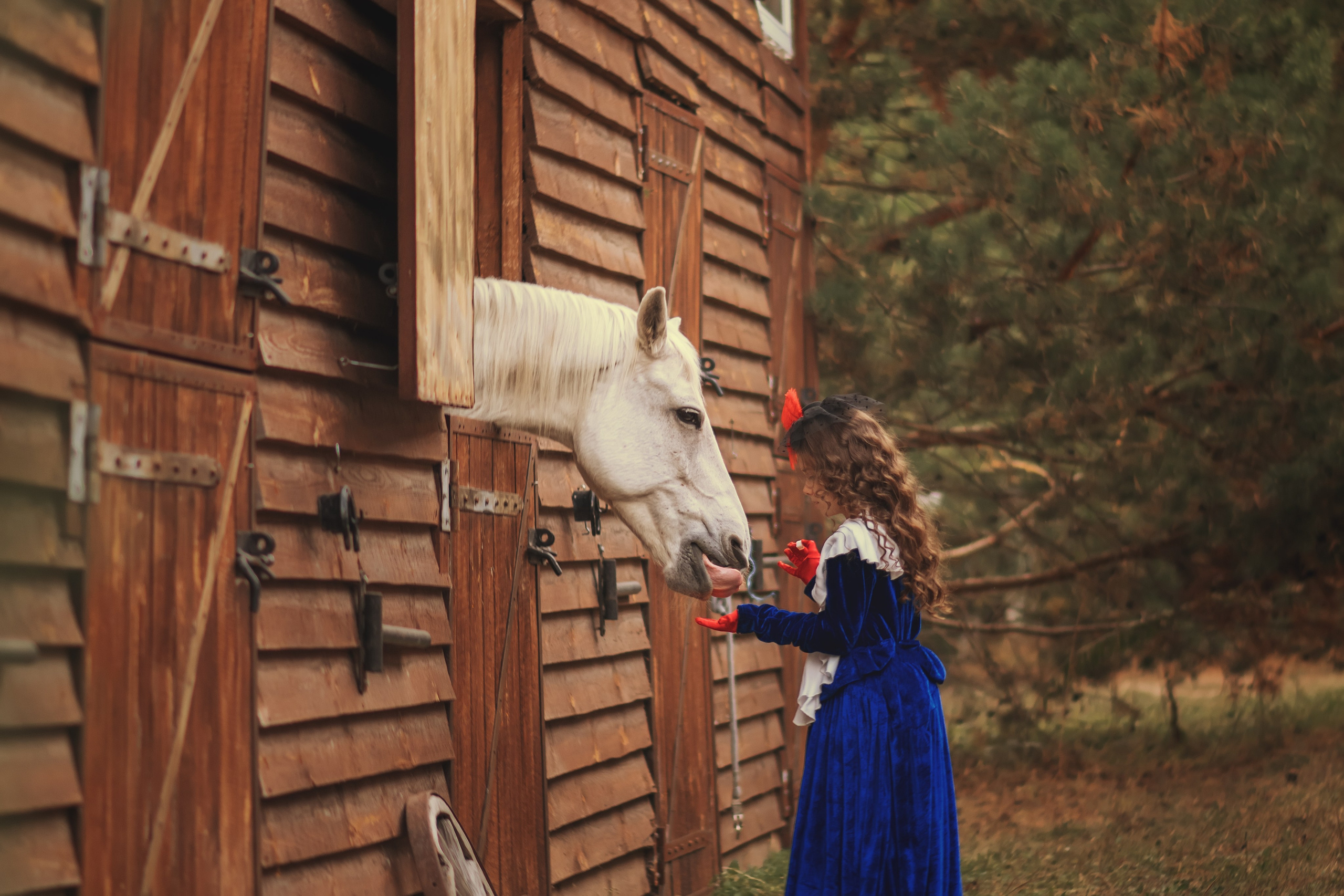 Scarlett. Дитячий та сімейний фотограф м.Бровари