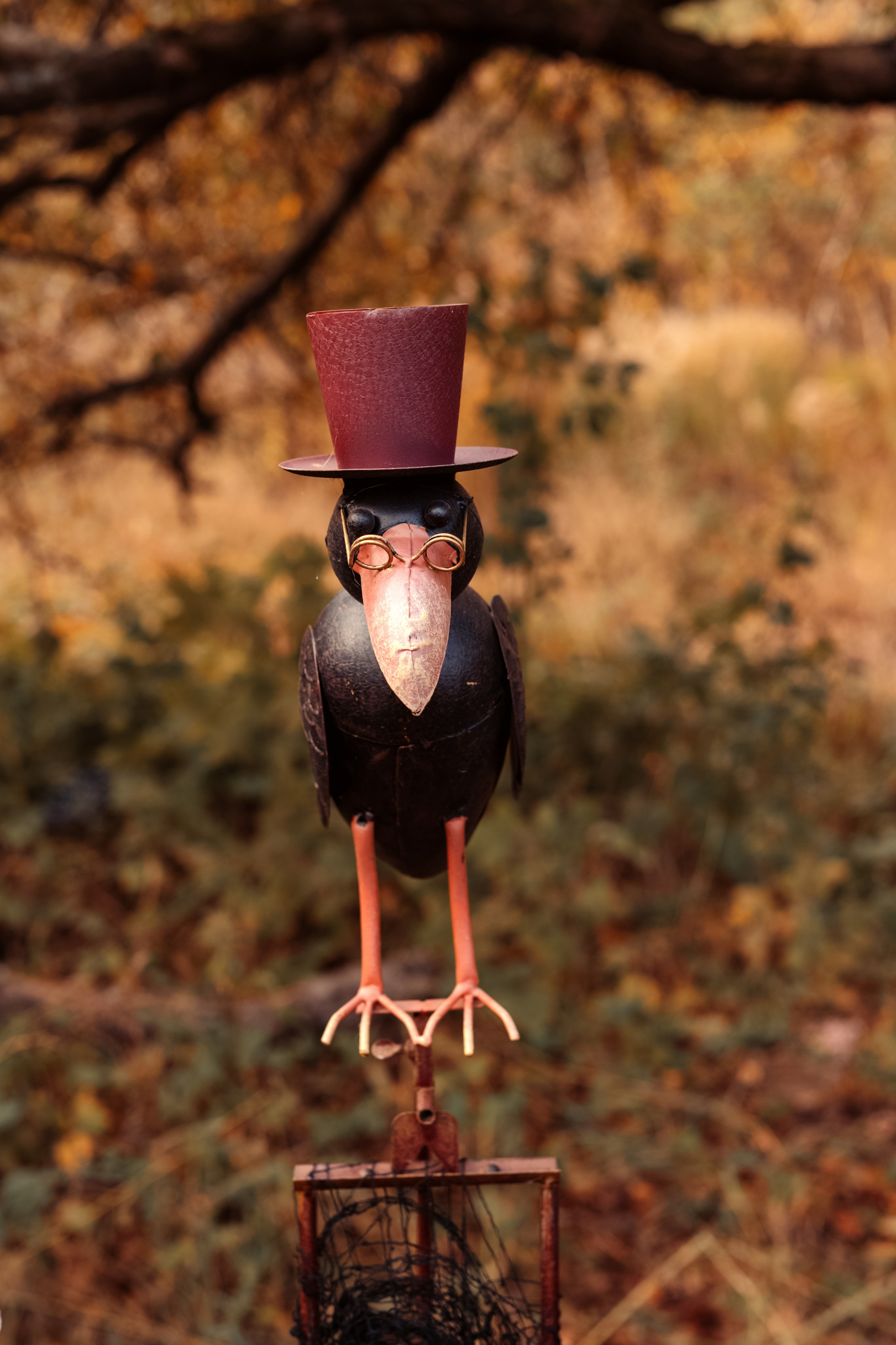 Helloween 2023. Дитячий та сімейний фотограф м.Бровари