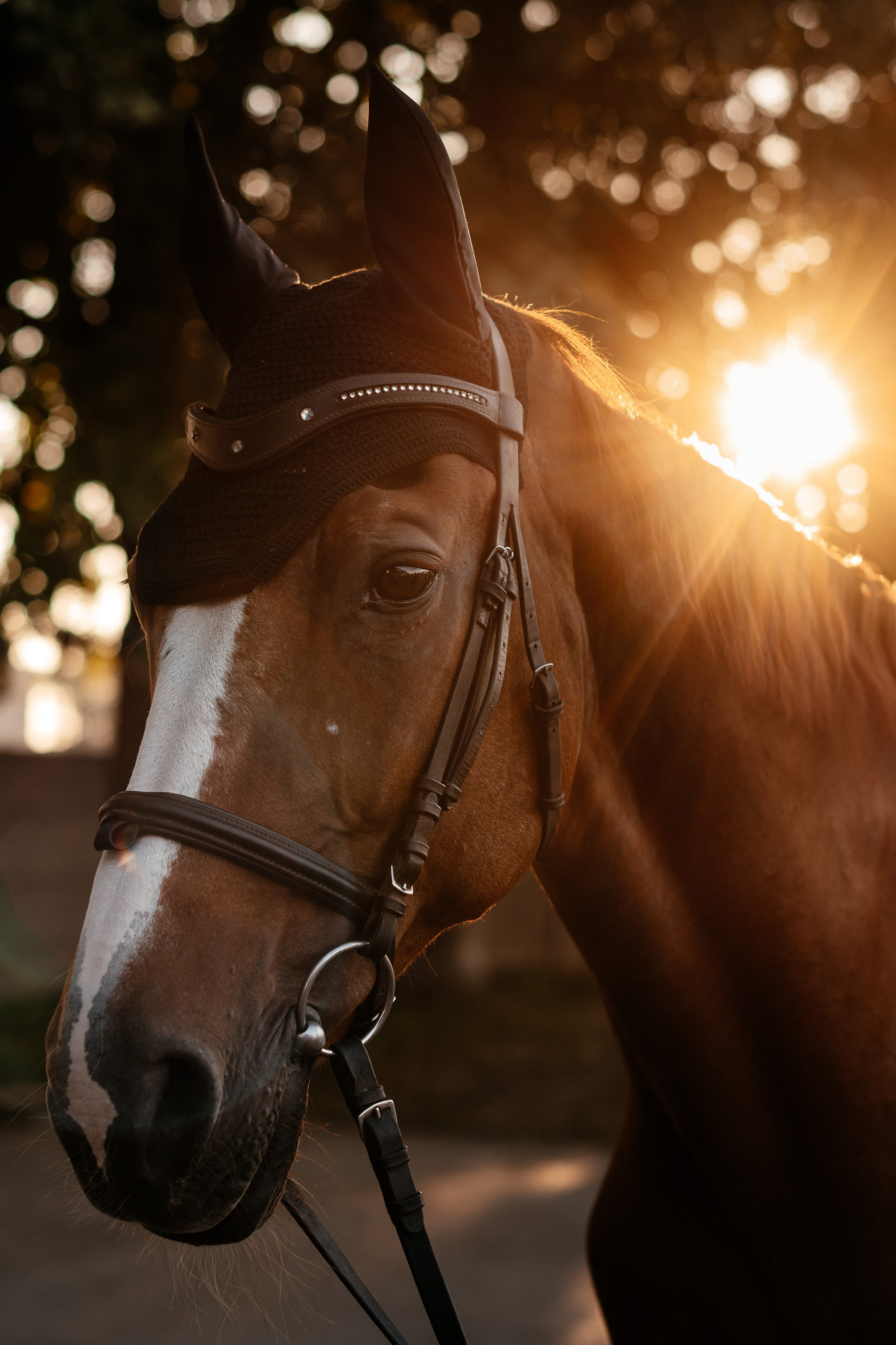 Маленька історія Еміліі. Дитячий та сімейний фотограф м.Бровари