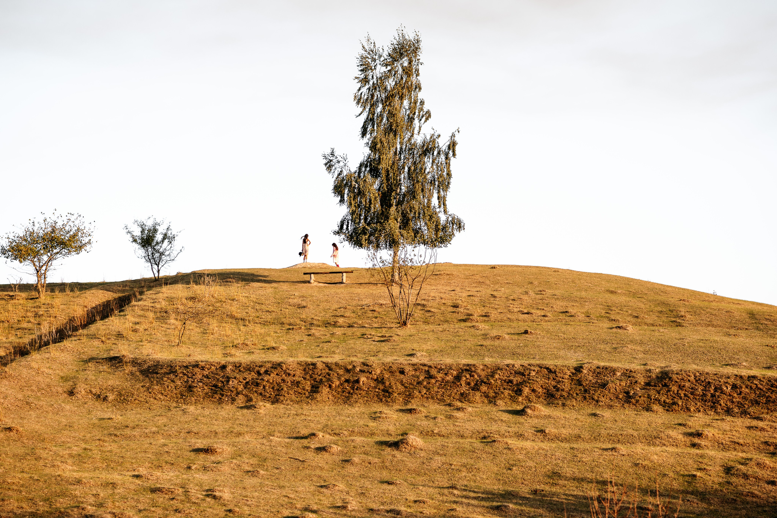 Sheepland. Дитячий та сімейний фотограф м.Бровари