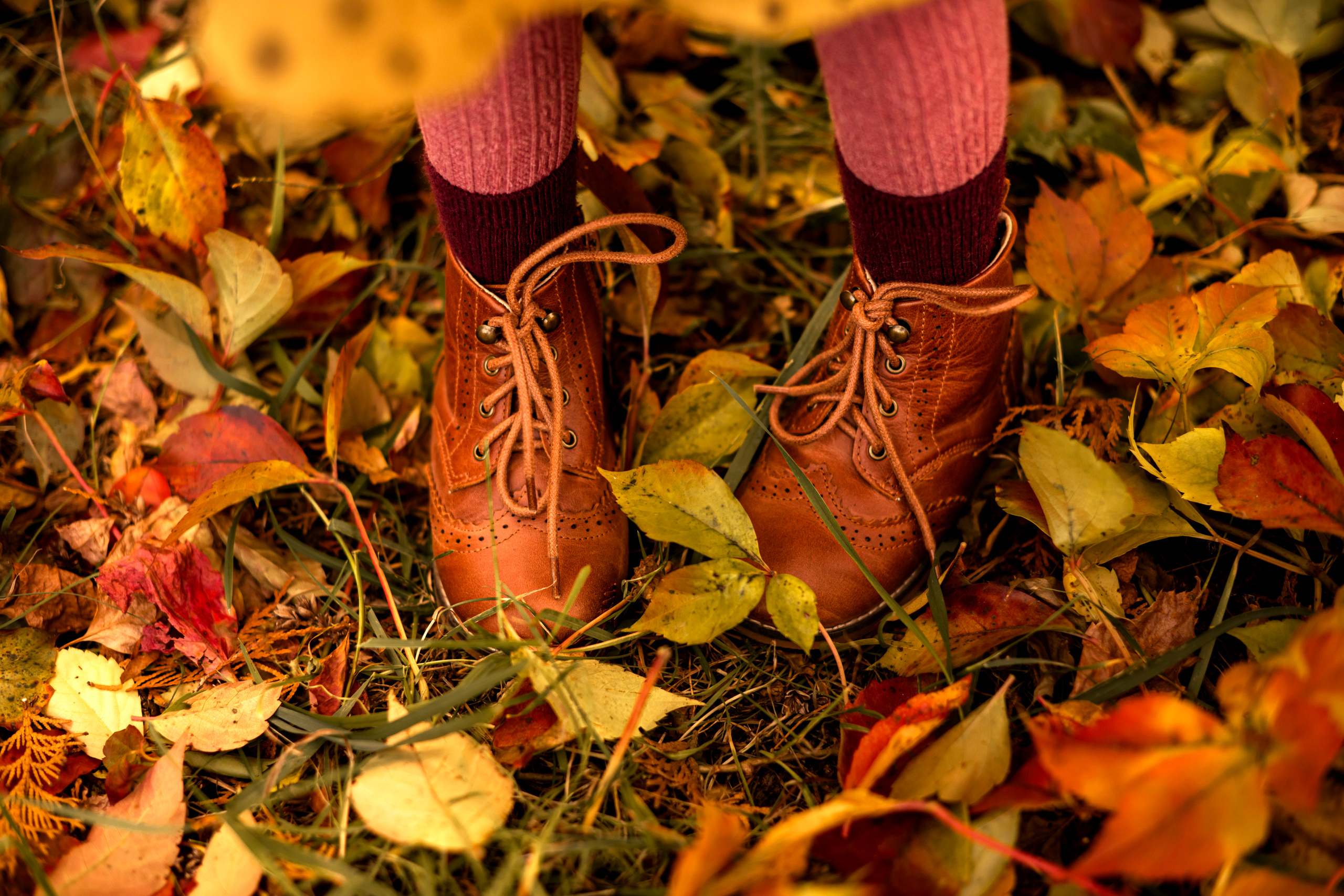 Осінні замальовки. Дитячий та сімейний фотограф м.Бровари