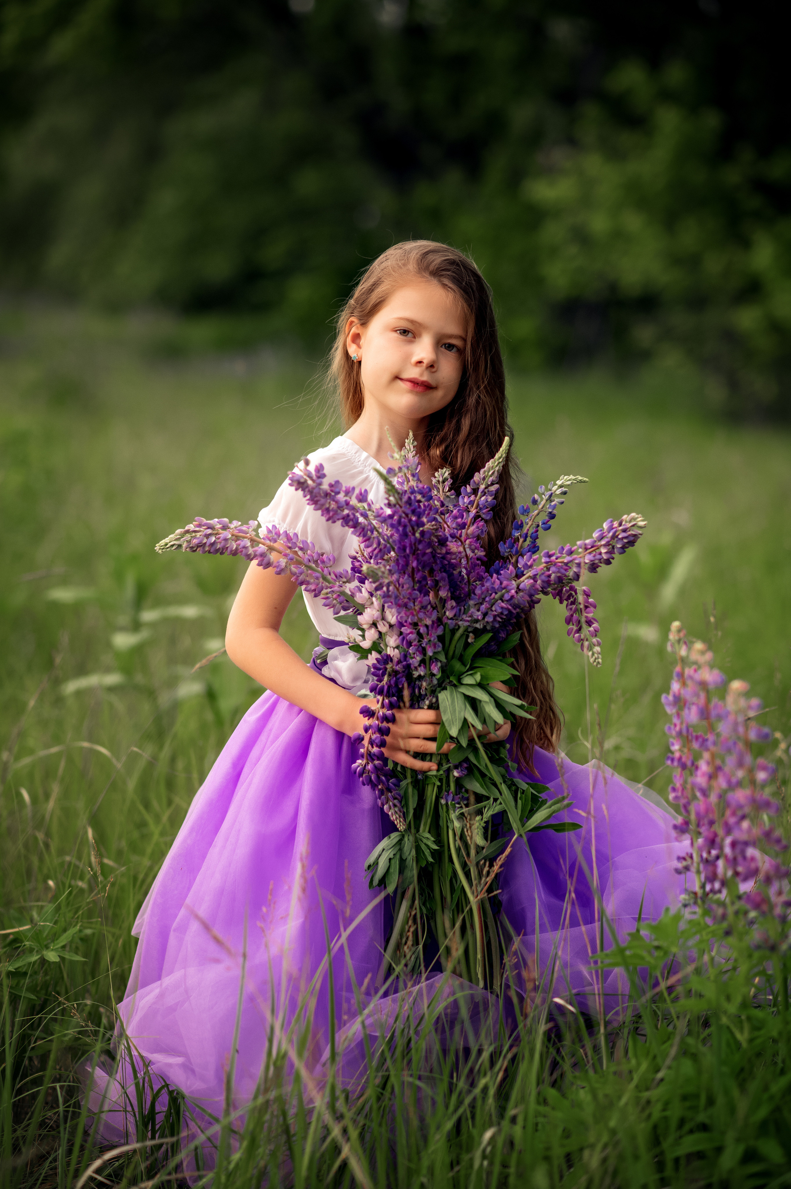 Люпини. Дитячий та сімейний фотограф м.Бровари