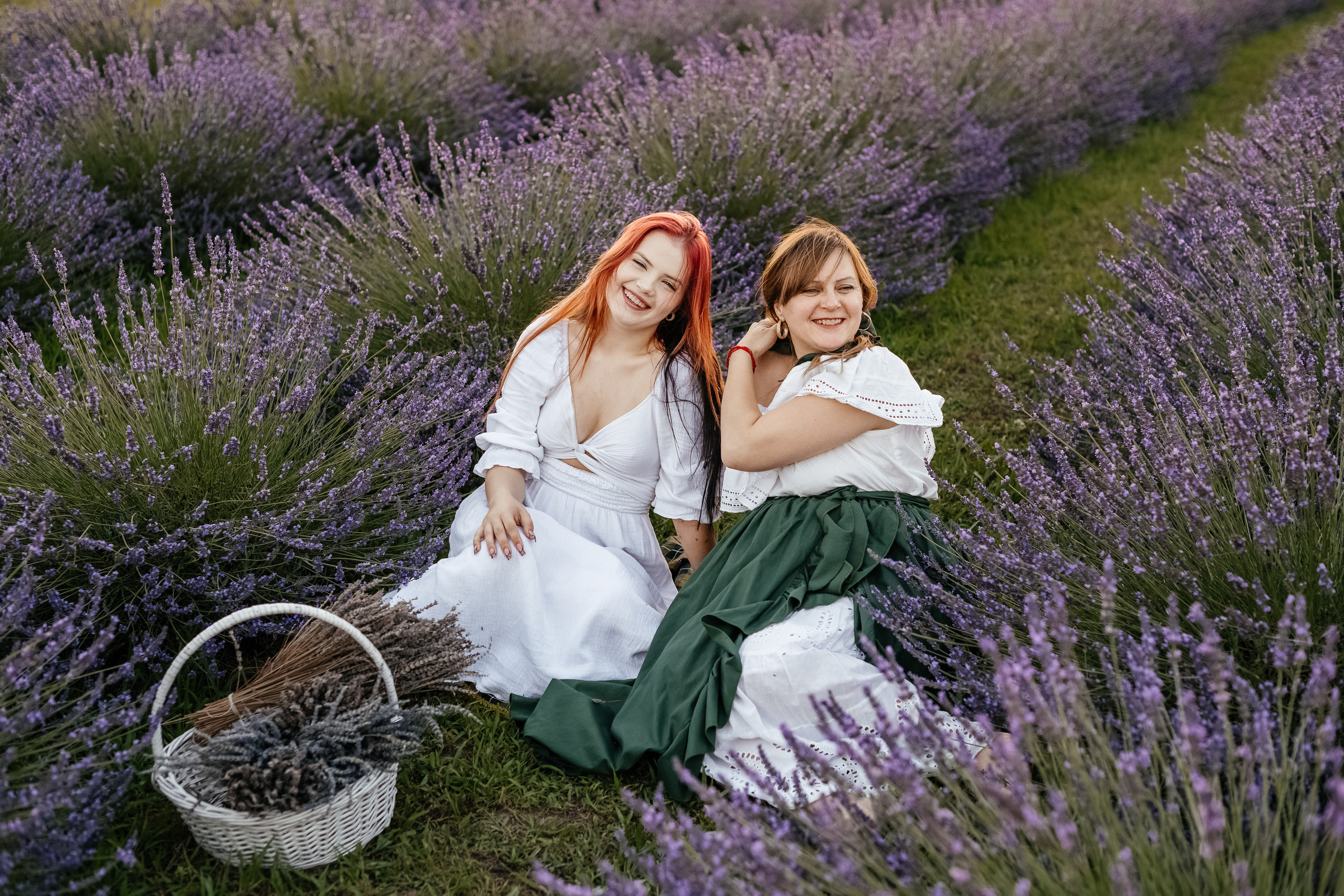 Лаванда 2024. Дитячий та сімейний фотограф м.Бровари