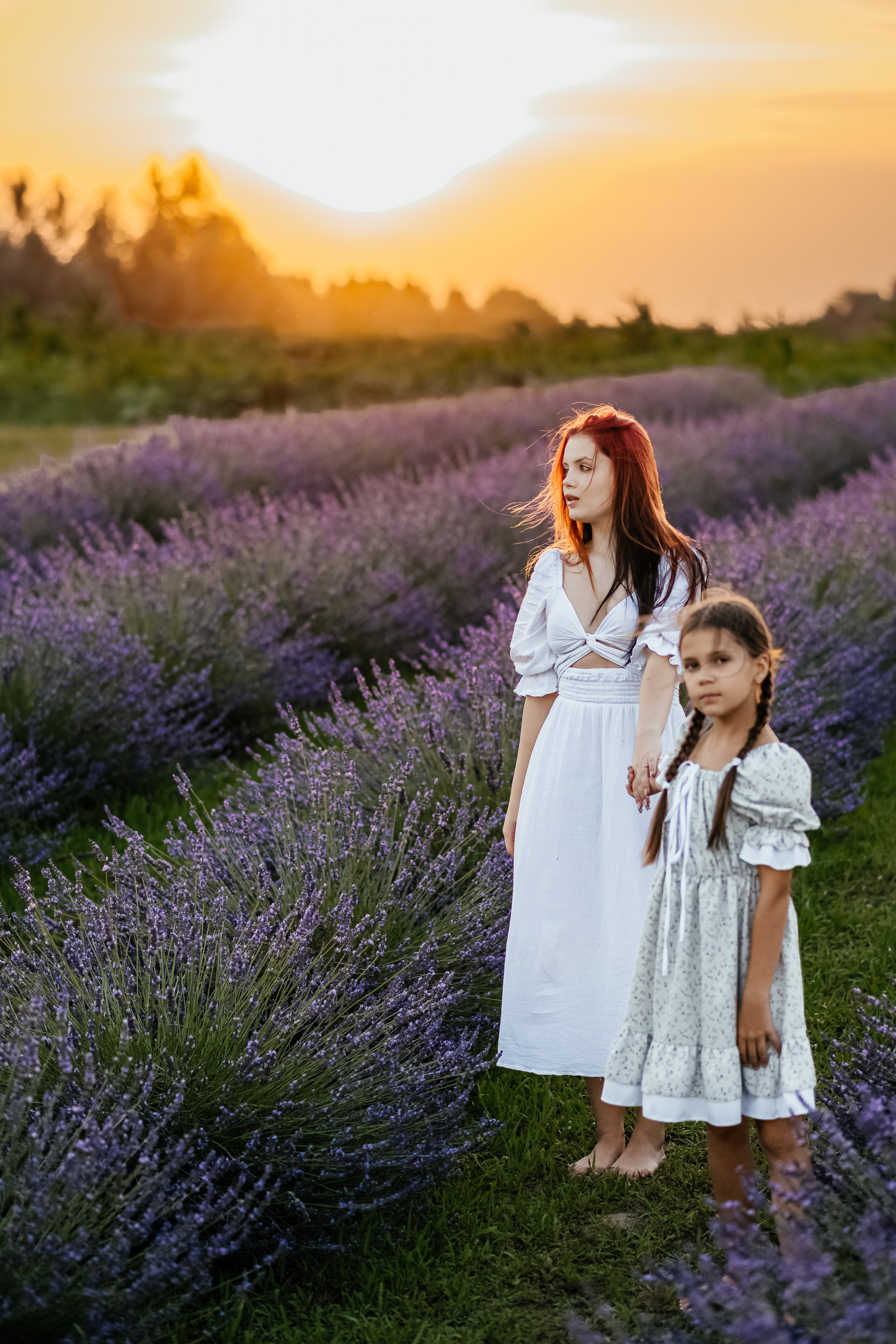 Лаванда 2024. Дитячий та сімейний фотограф м.Бровари