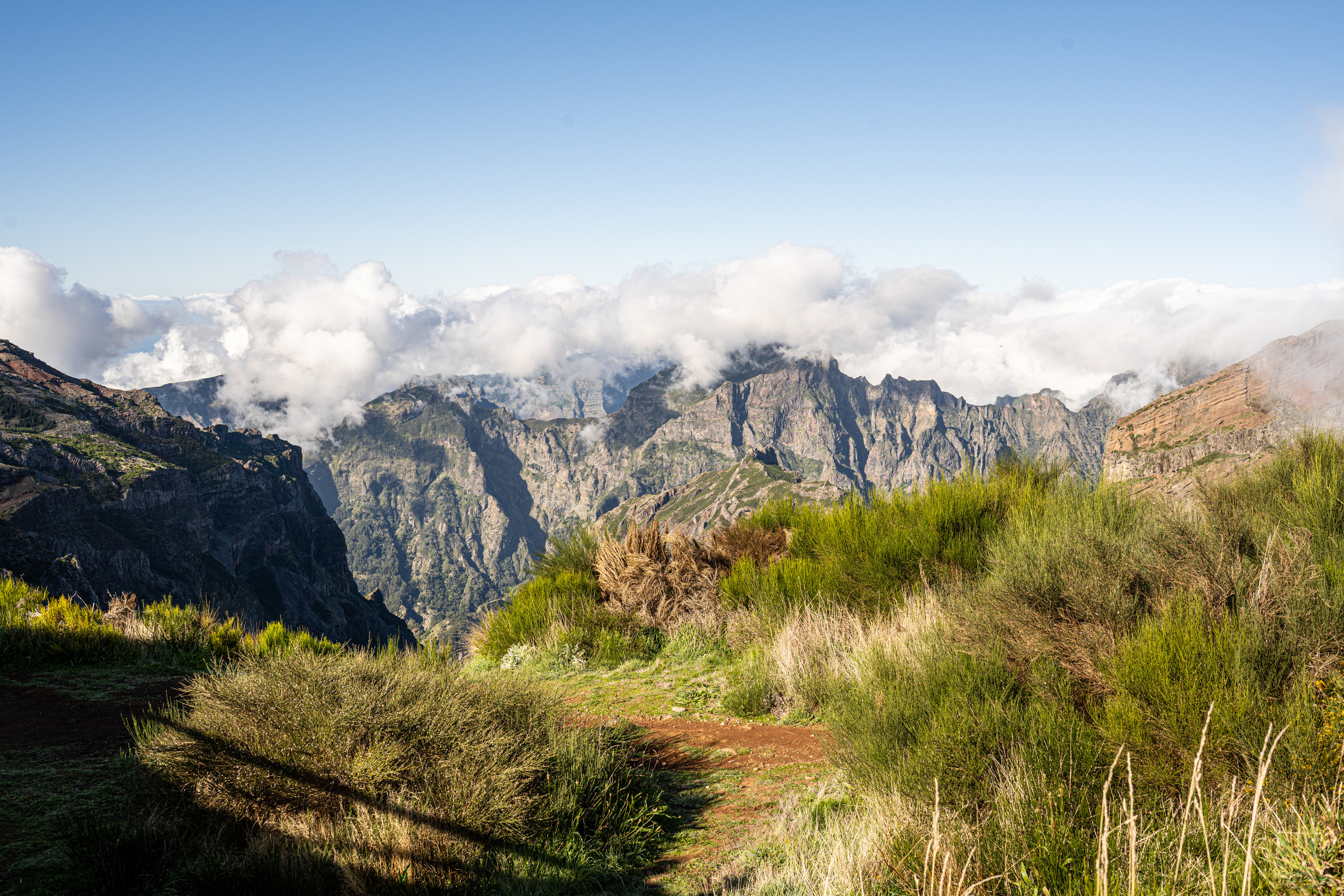 Мадейра. Дитячий та сімейний фотограф м.Бровари