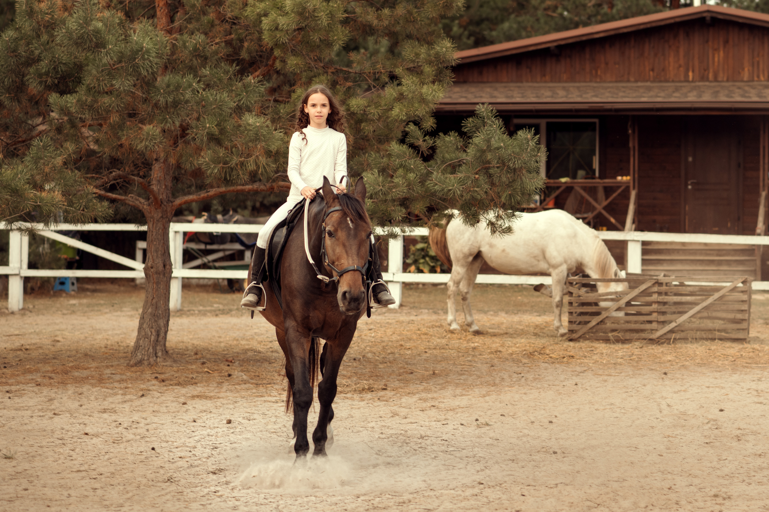 Ранчо Іго-Го. Дитячий та сімейний фотограф м.Бровари