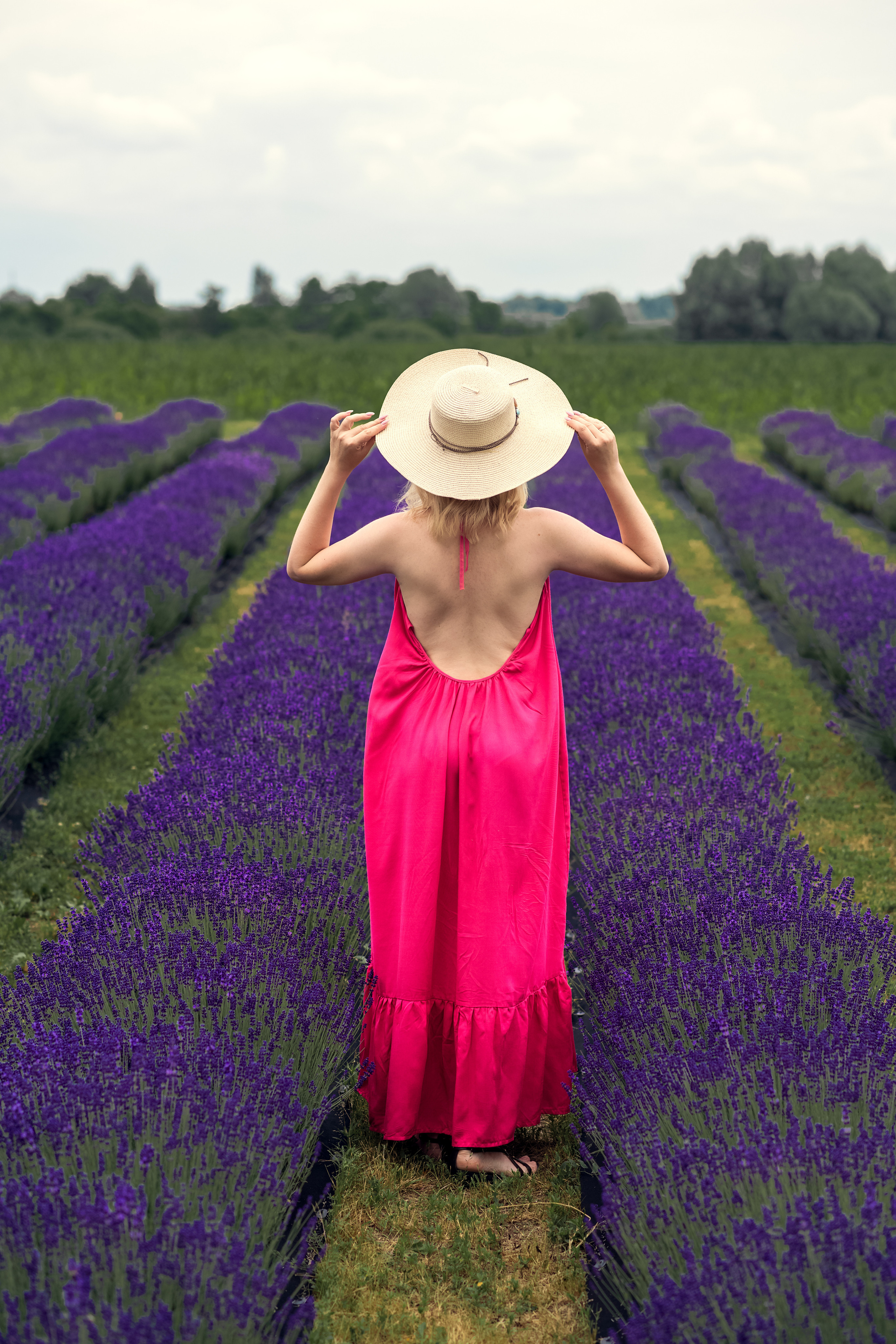 ЛАВАНДА 2023. Дитячий та сімейний фотограф м.Бровари