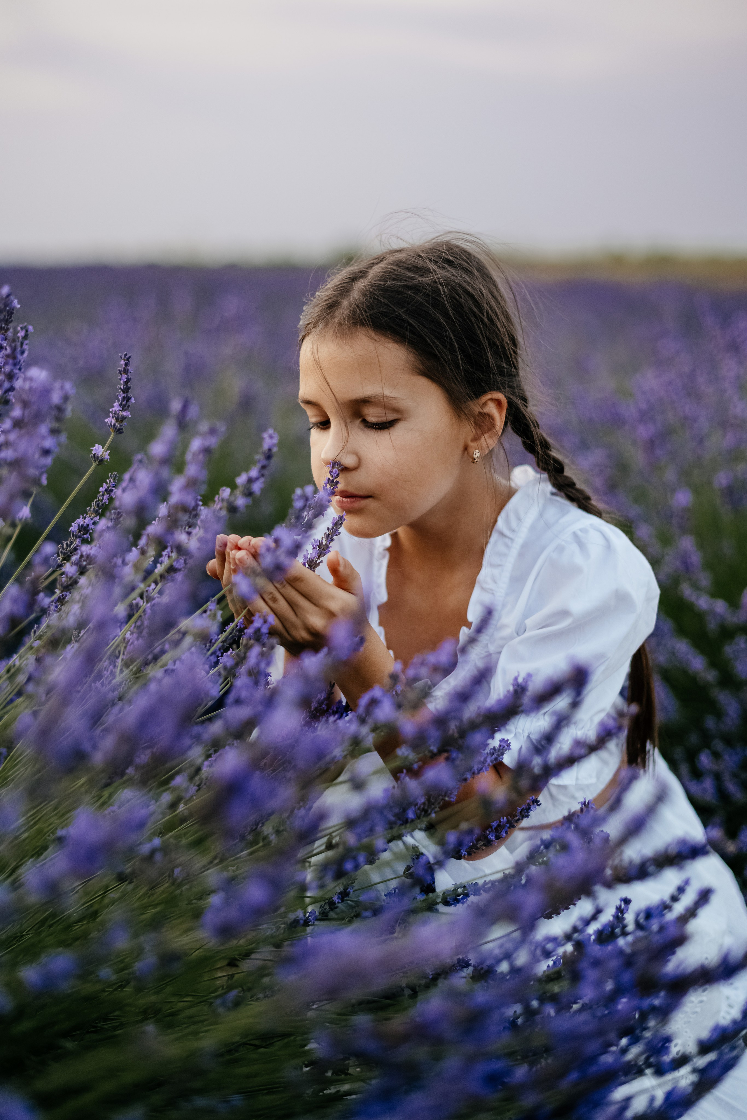 Лаванда 2024. Дитячий та сімейний фотограф м.Бровари