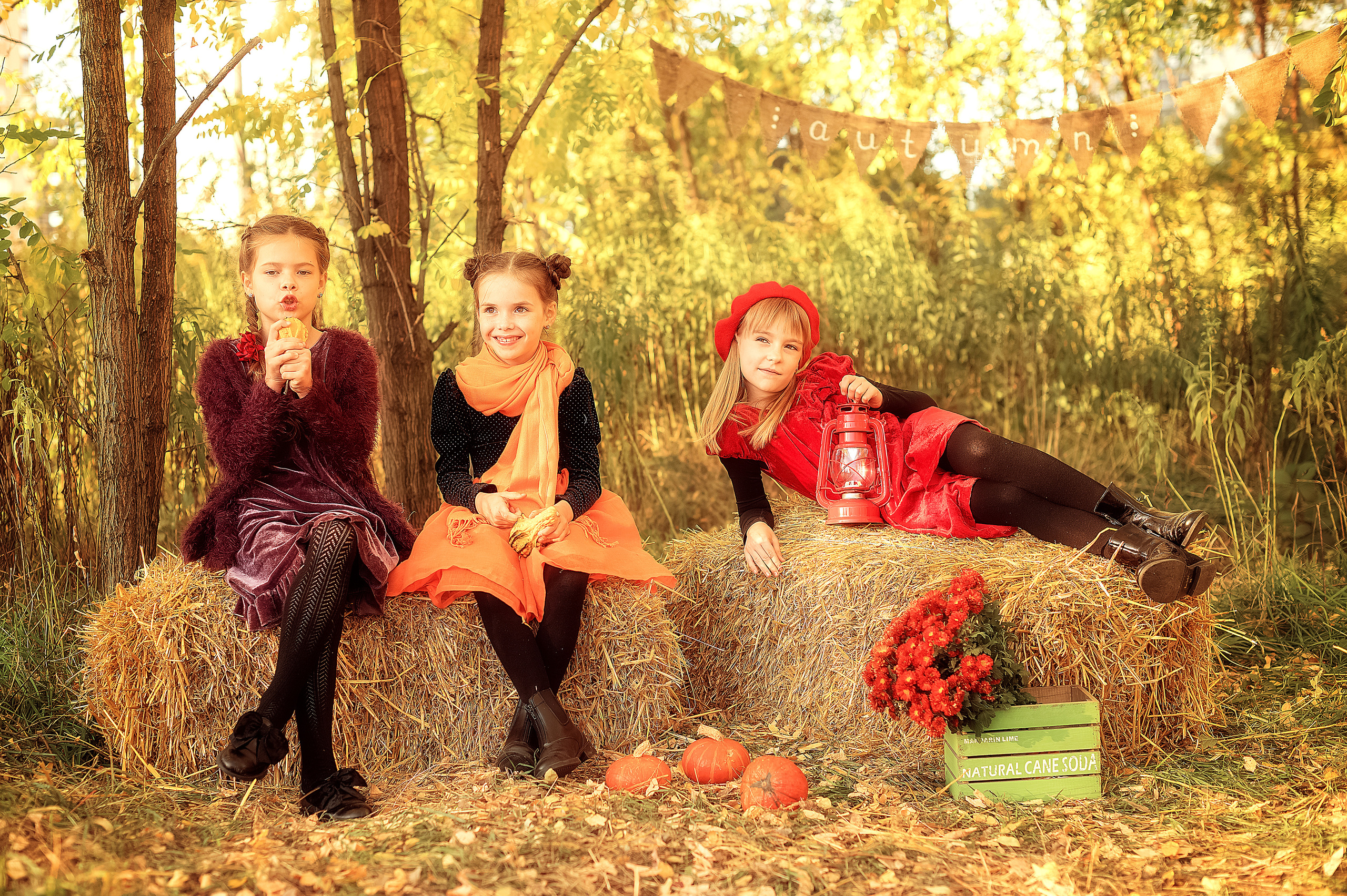 Золота Осінь. Дитячий та сімейний фотограф м.Бровари