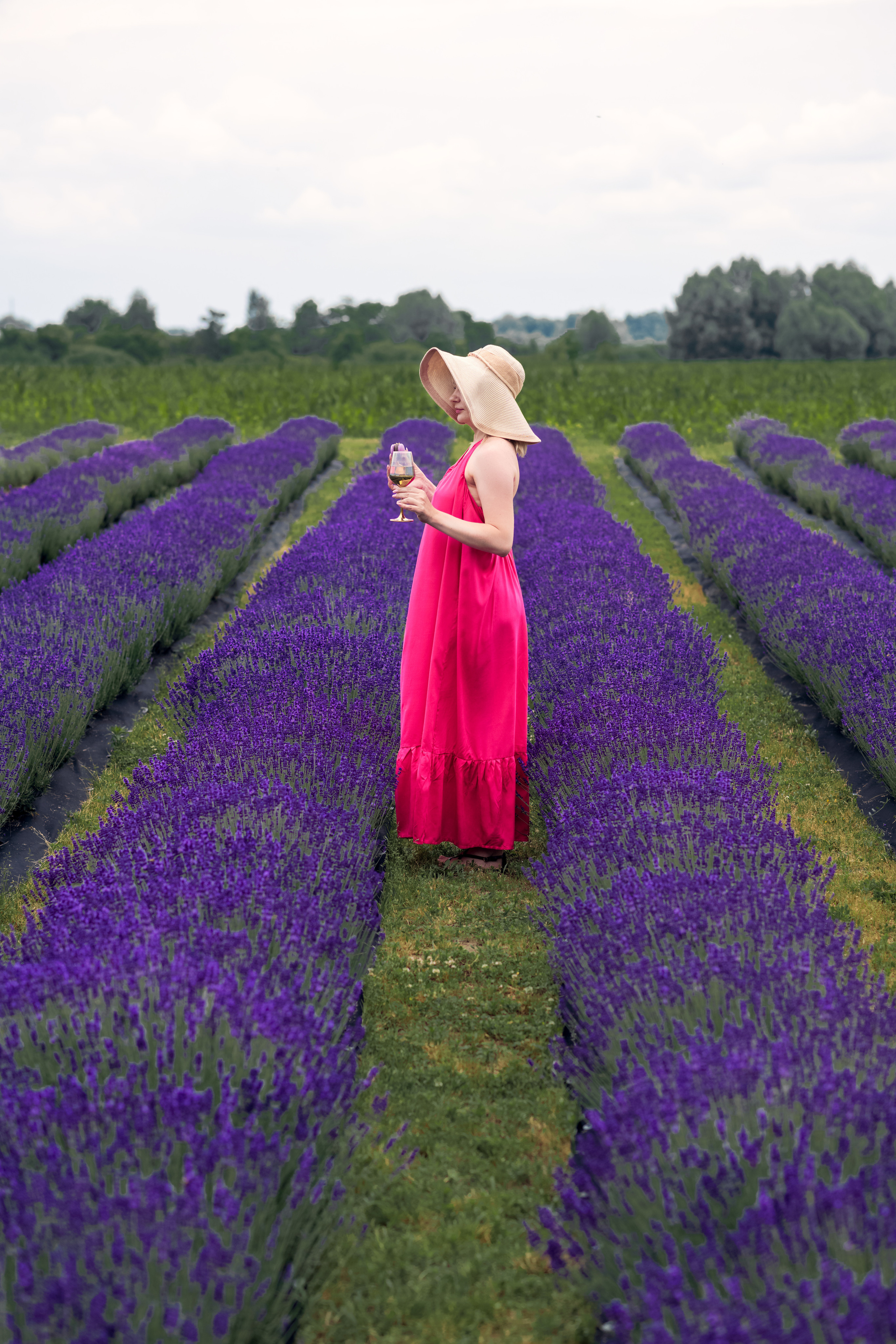 ЛАВАНДА 2023. Дитячий та сімейний фотограф м.Бровари