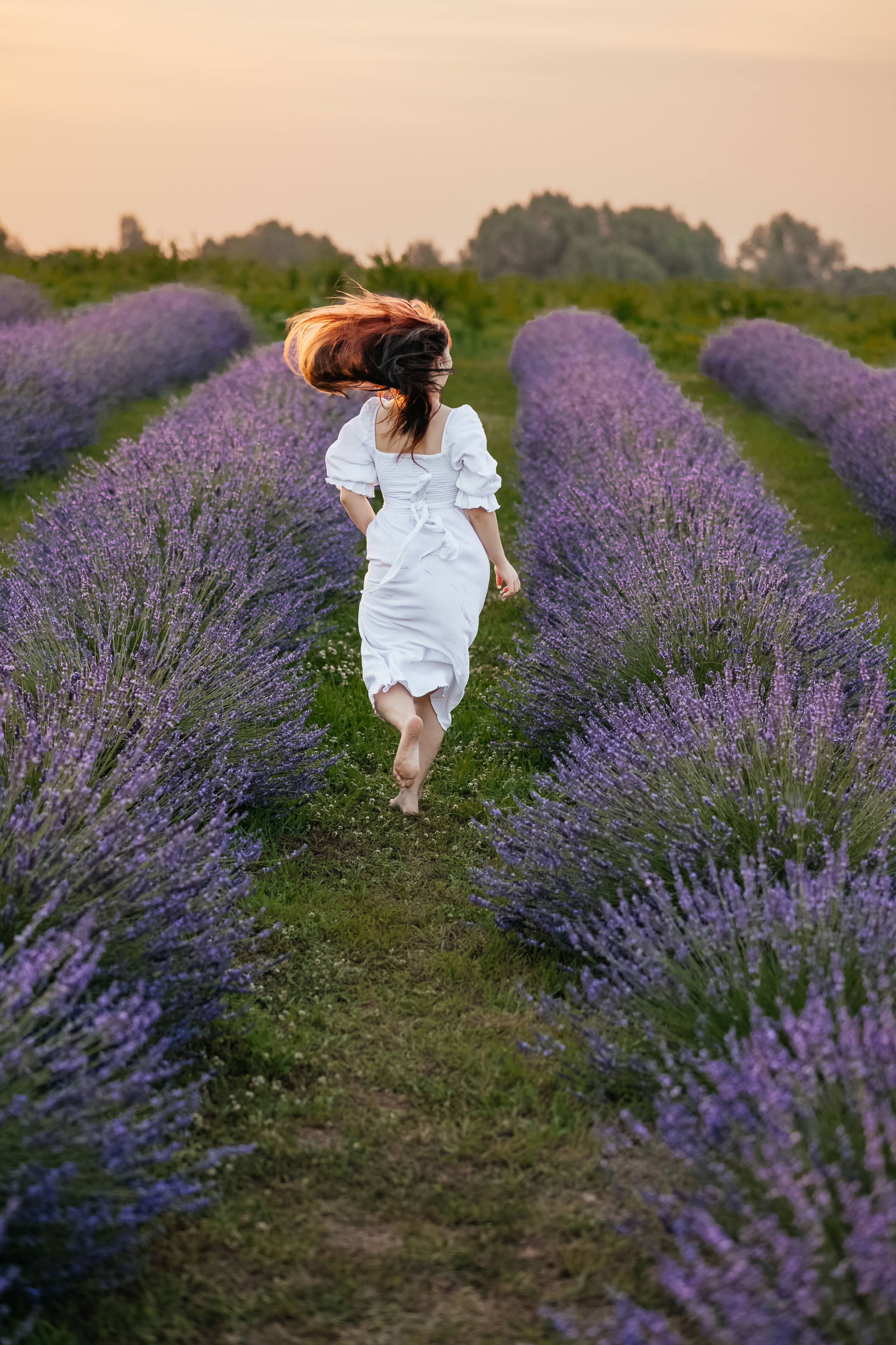 Лаванда 2024. Дитячий та сімейний фотограф м.Бровари