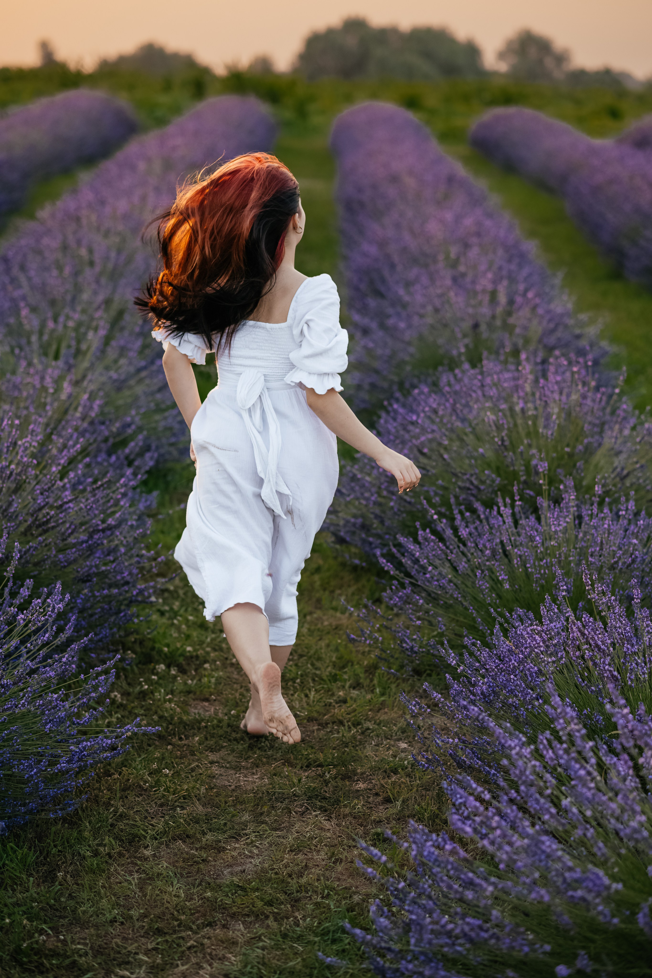 Лаванда 2024. Дитячий та сімейний фотограф м.Бровари