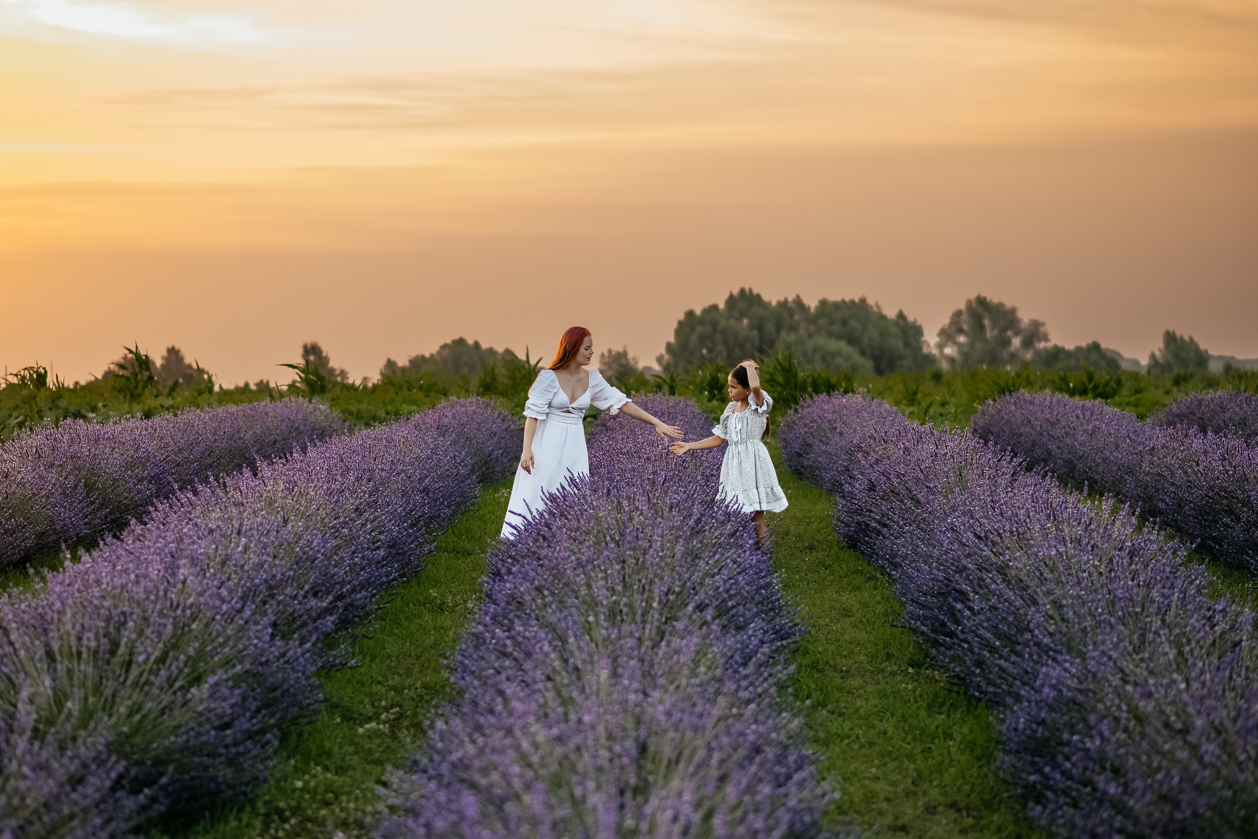Лаванда 2024. Дитячий та сімейний фотограф м.Бровари