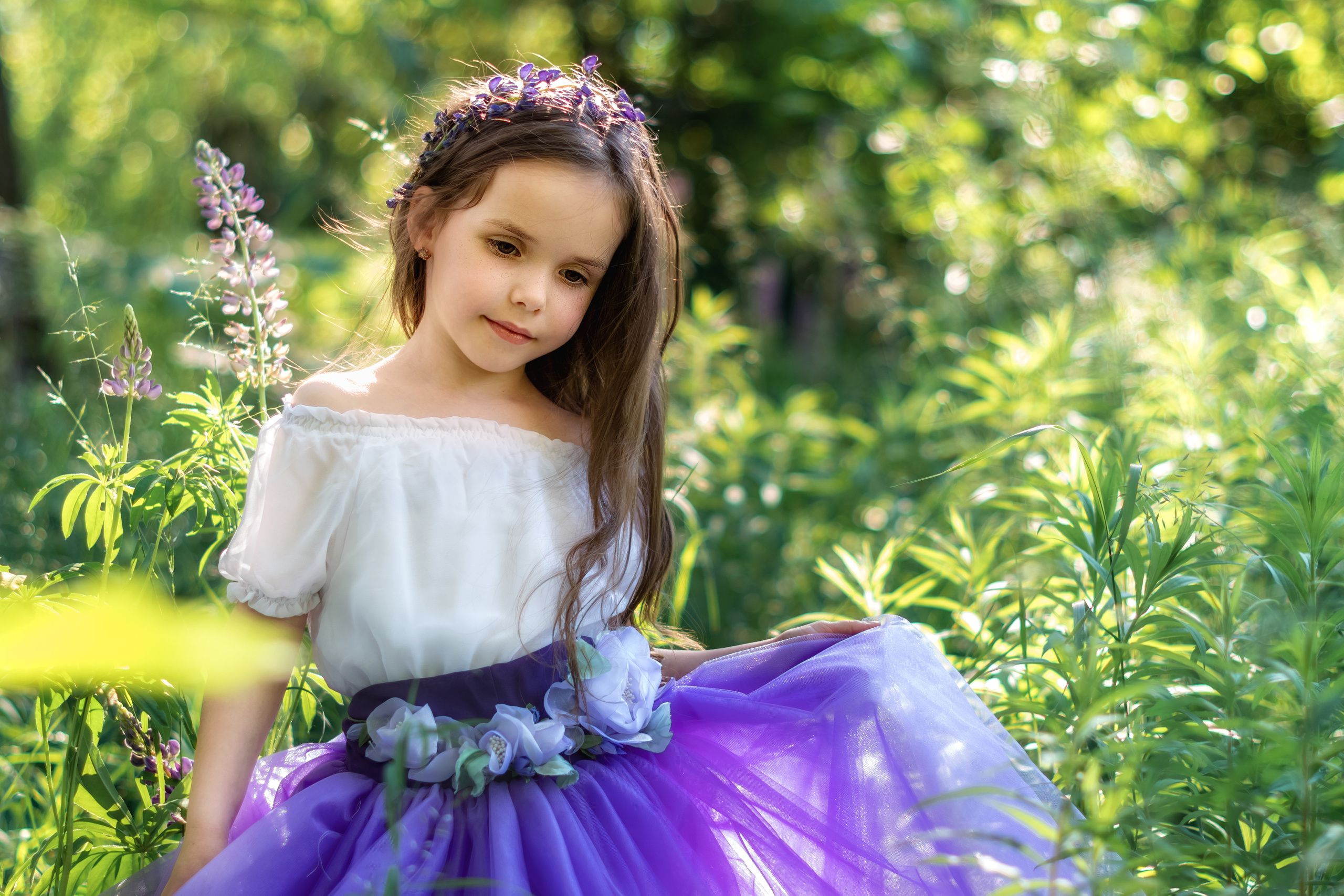 Люпини. Дитячий та сімейний фотограф м.Бровари