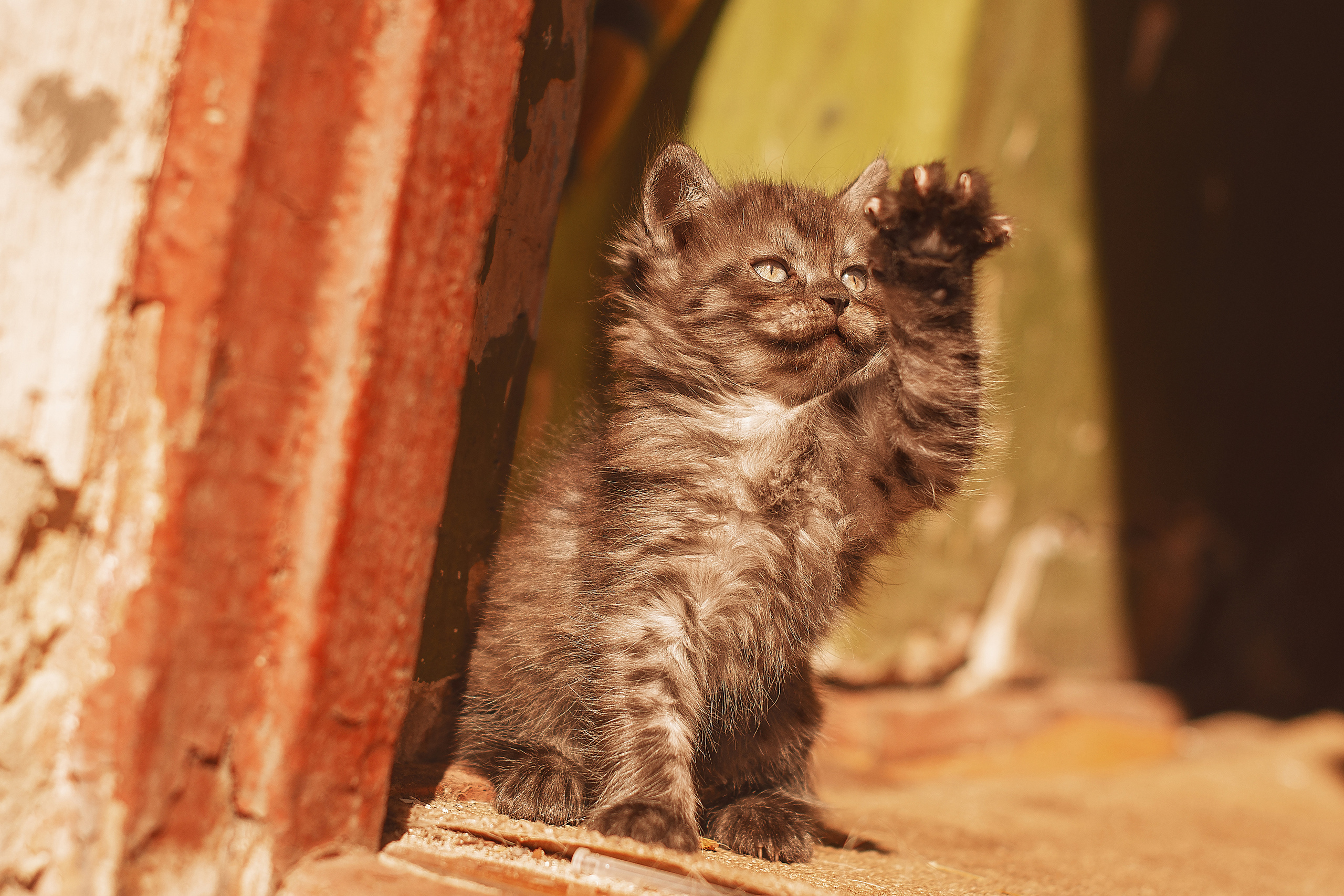 Ретро. Дитячий та сімейний фотограф м.Бровари