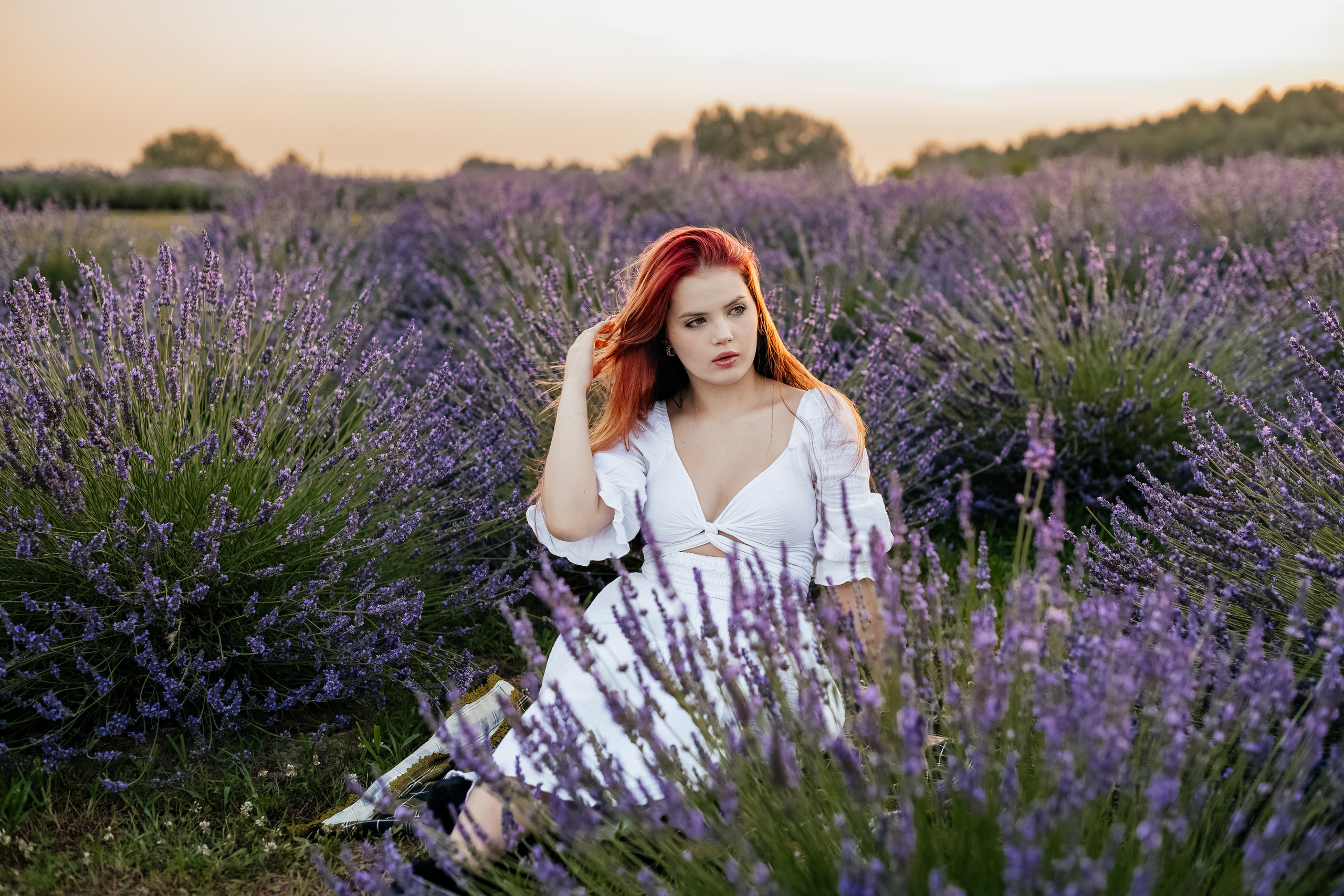 Лаванда 2024. Дитячий та сімейний фотограф м.Бровари