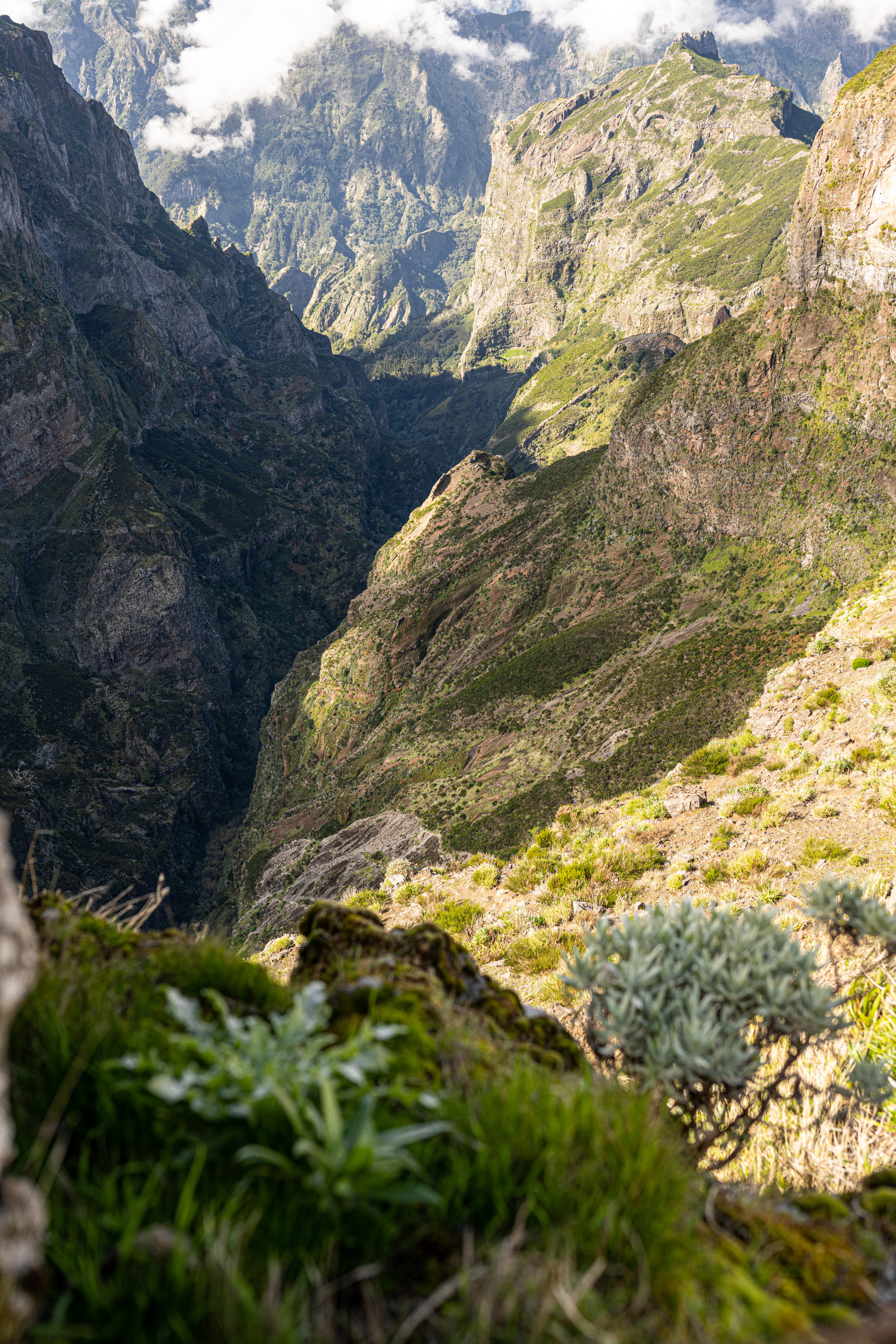 Мадейра. Дитячий та сімейний фотограф м.Бровари