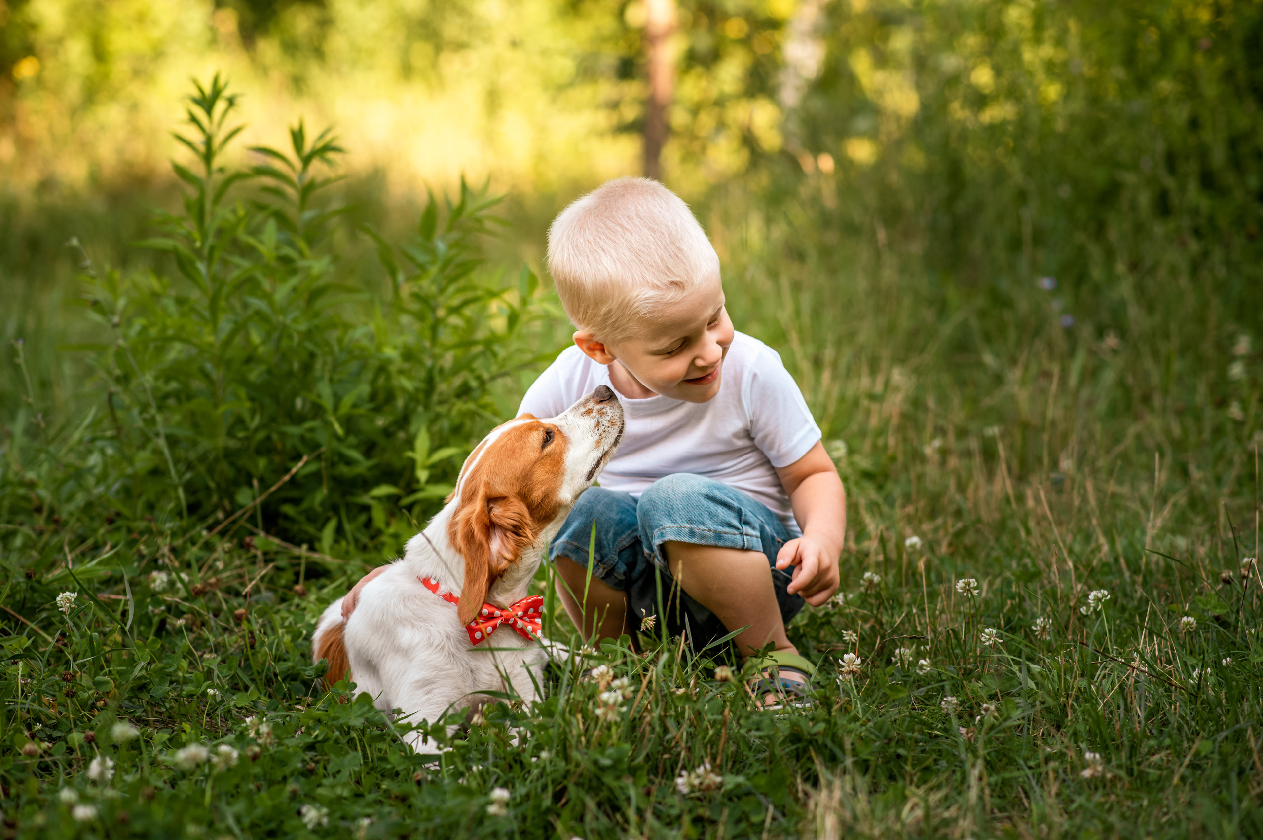 Літо 2021. Дитячий та сімейний фотограф м.Бровари