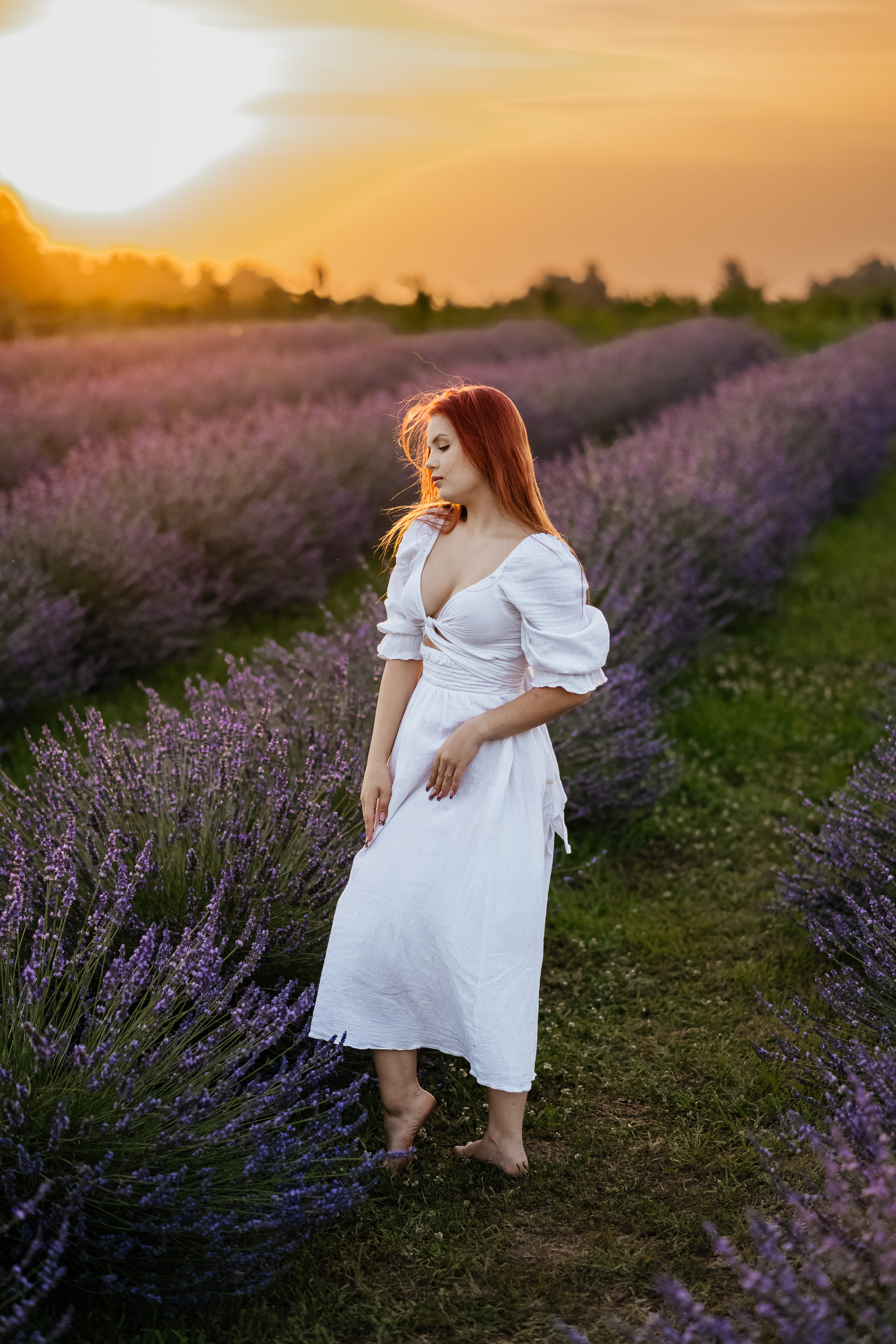 Лаванда 2024. Дитячий та сімейний фотограф м.Бровари