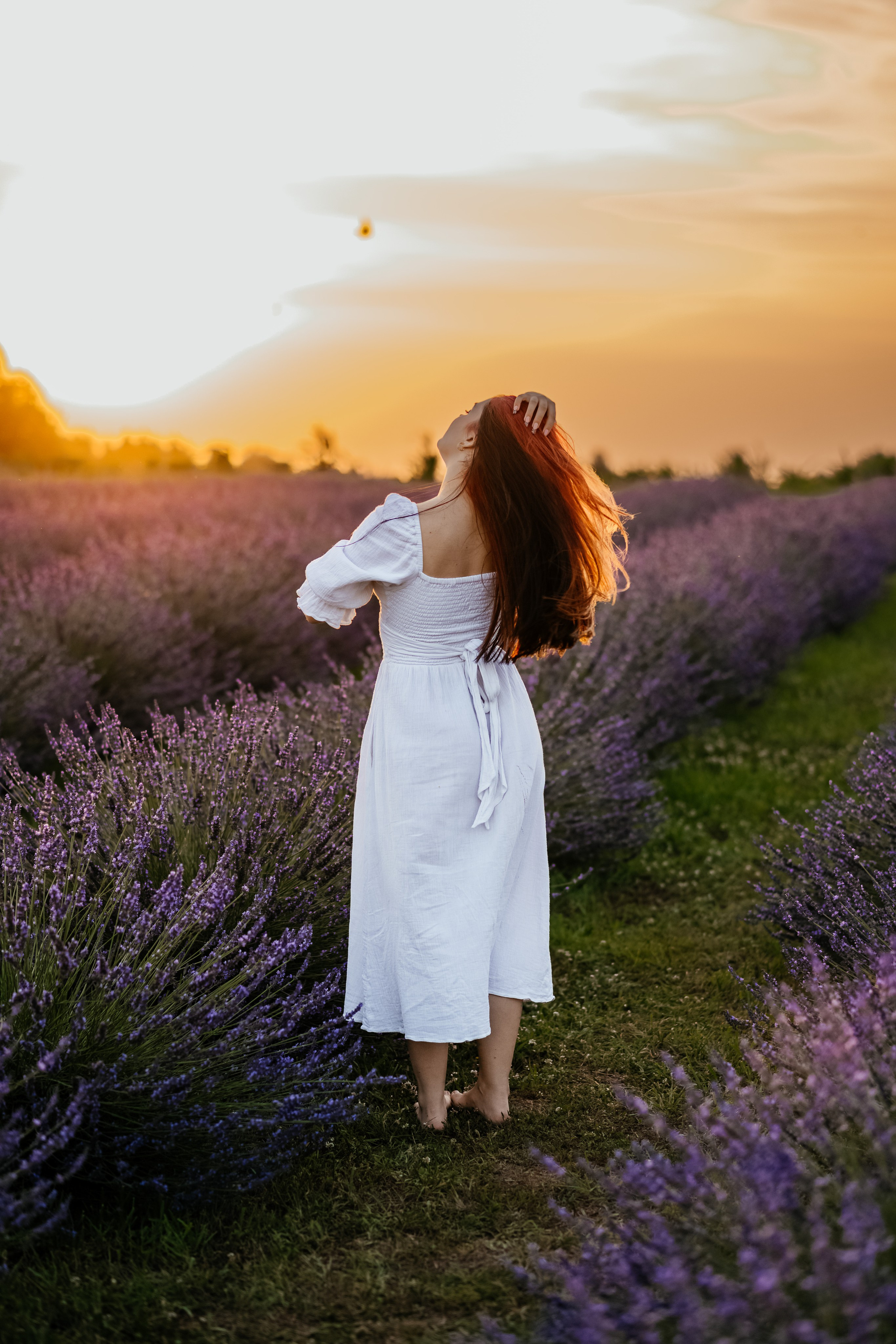 Лаванда 2024. Дитячий та сімейний фотограф м.Бровари