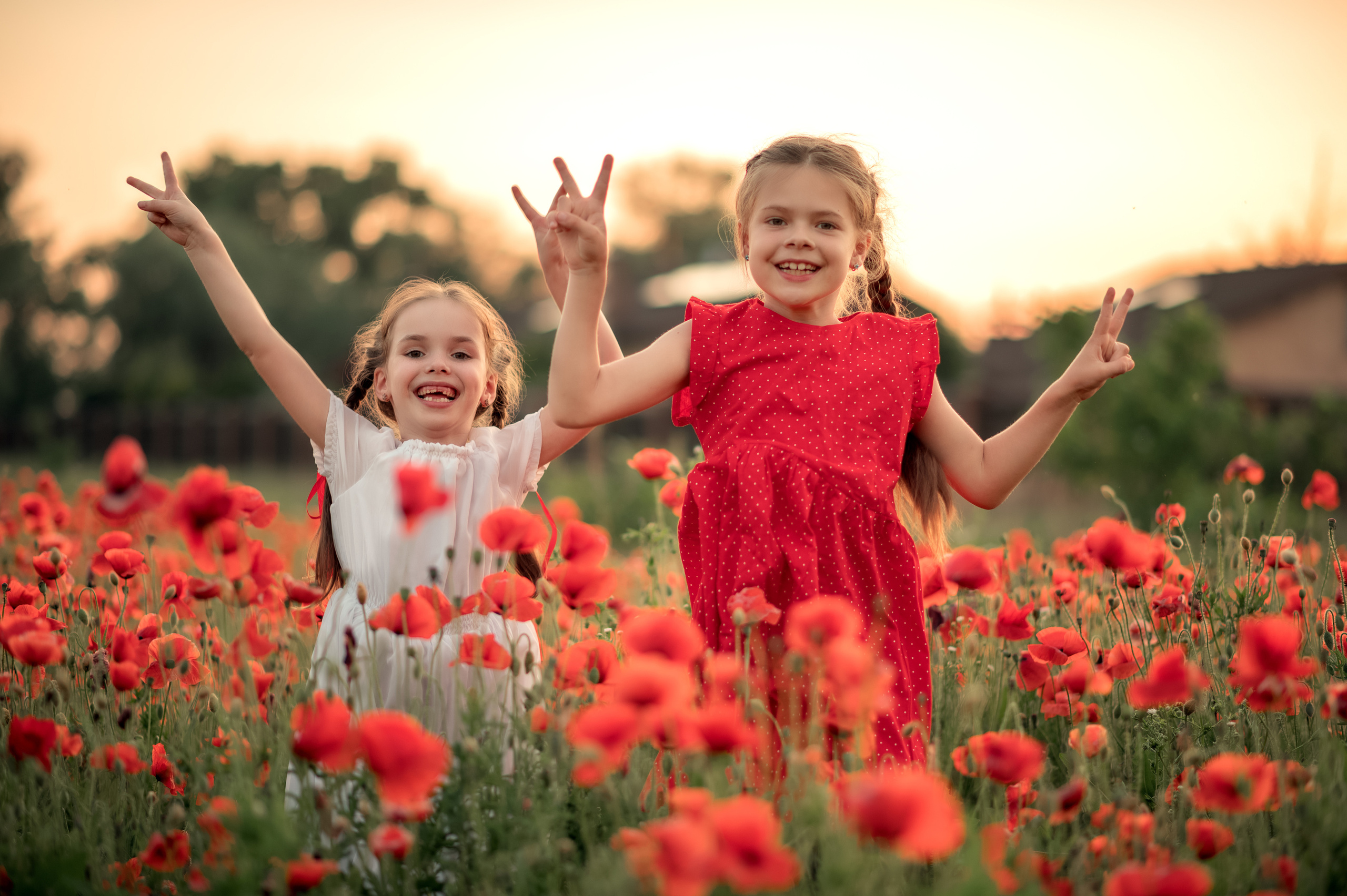 Маки. Дитячий та сімейний фотограф м.Бровари
